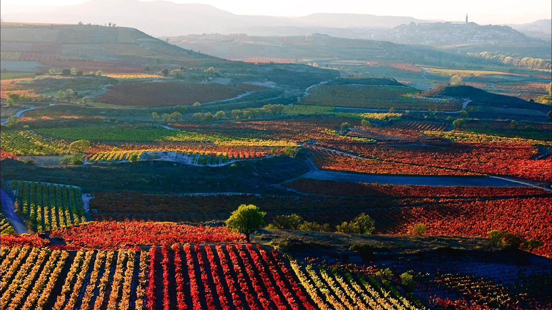 1920x1080 Logroño: La Rioja's Pincho Crawl Life Exclusive