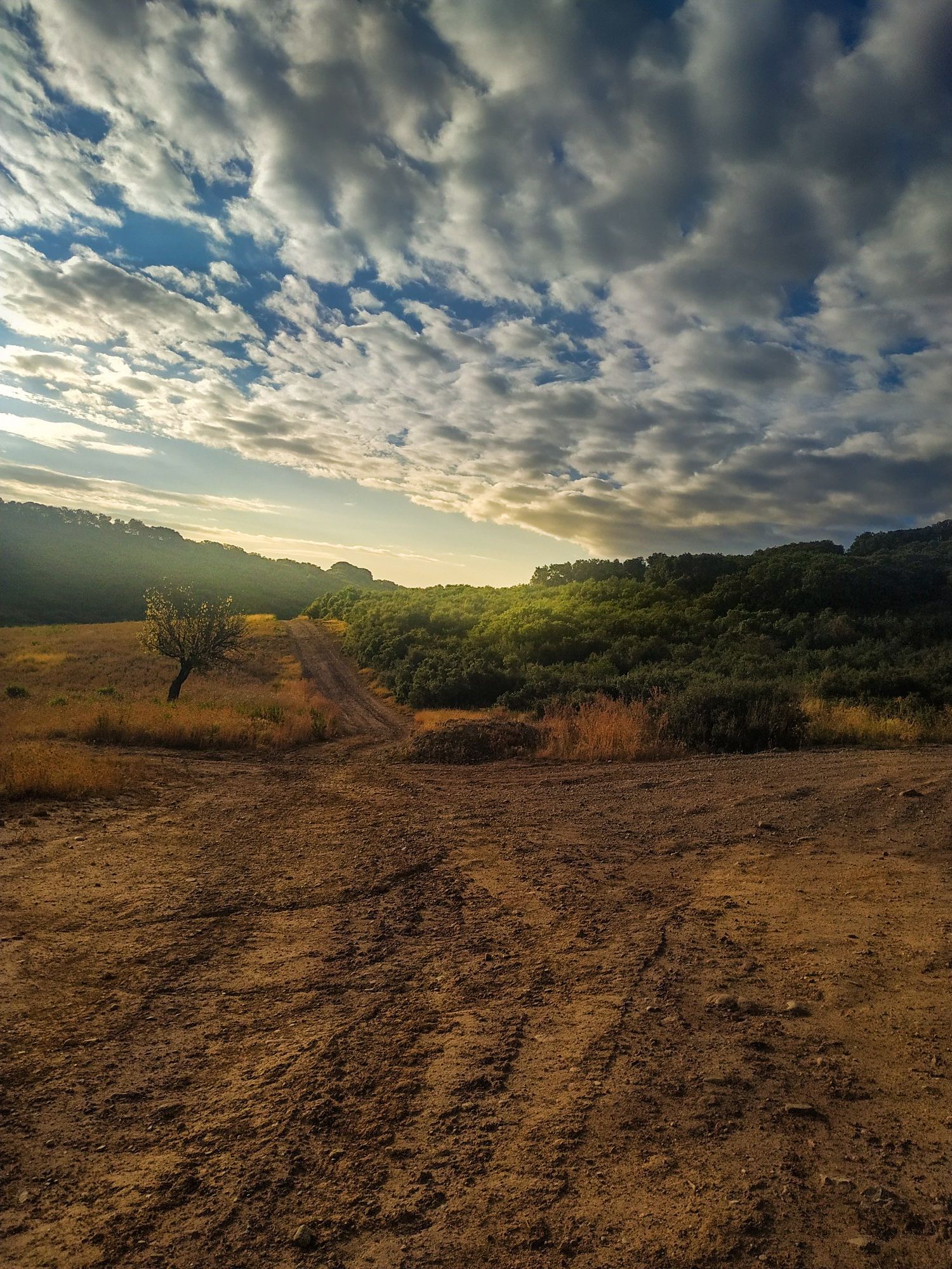 1500x2000 Bike Parks around Logroño
