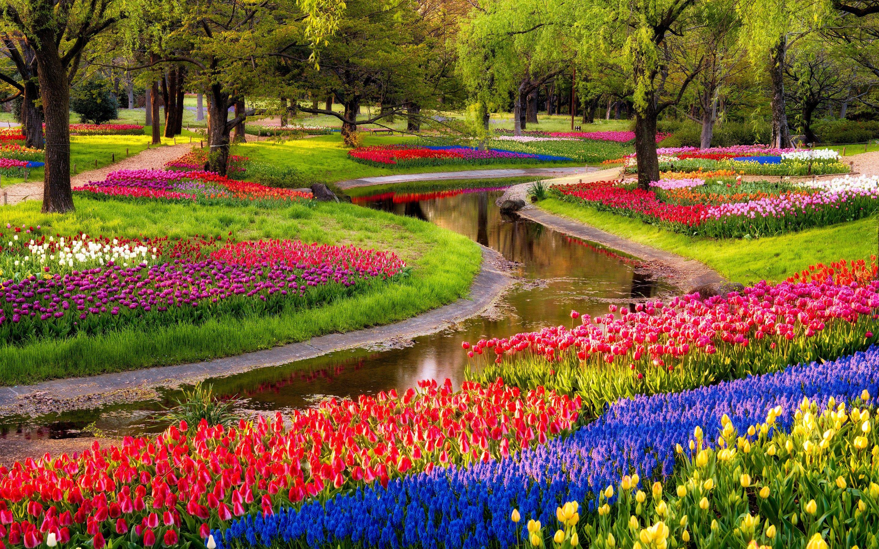 Bonita foto de jardín de flores