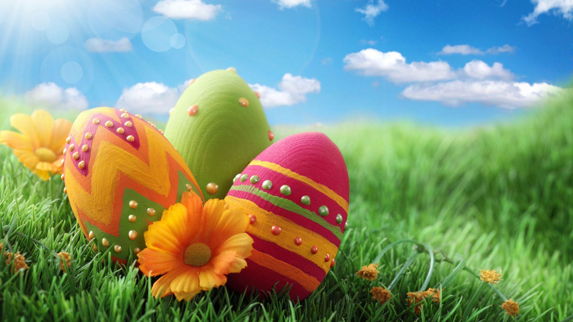 The painted eggs HD wallpapers free download | Wallpaperbetter