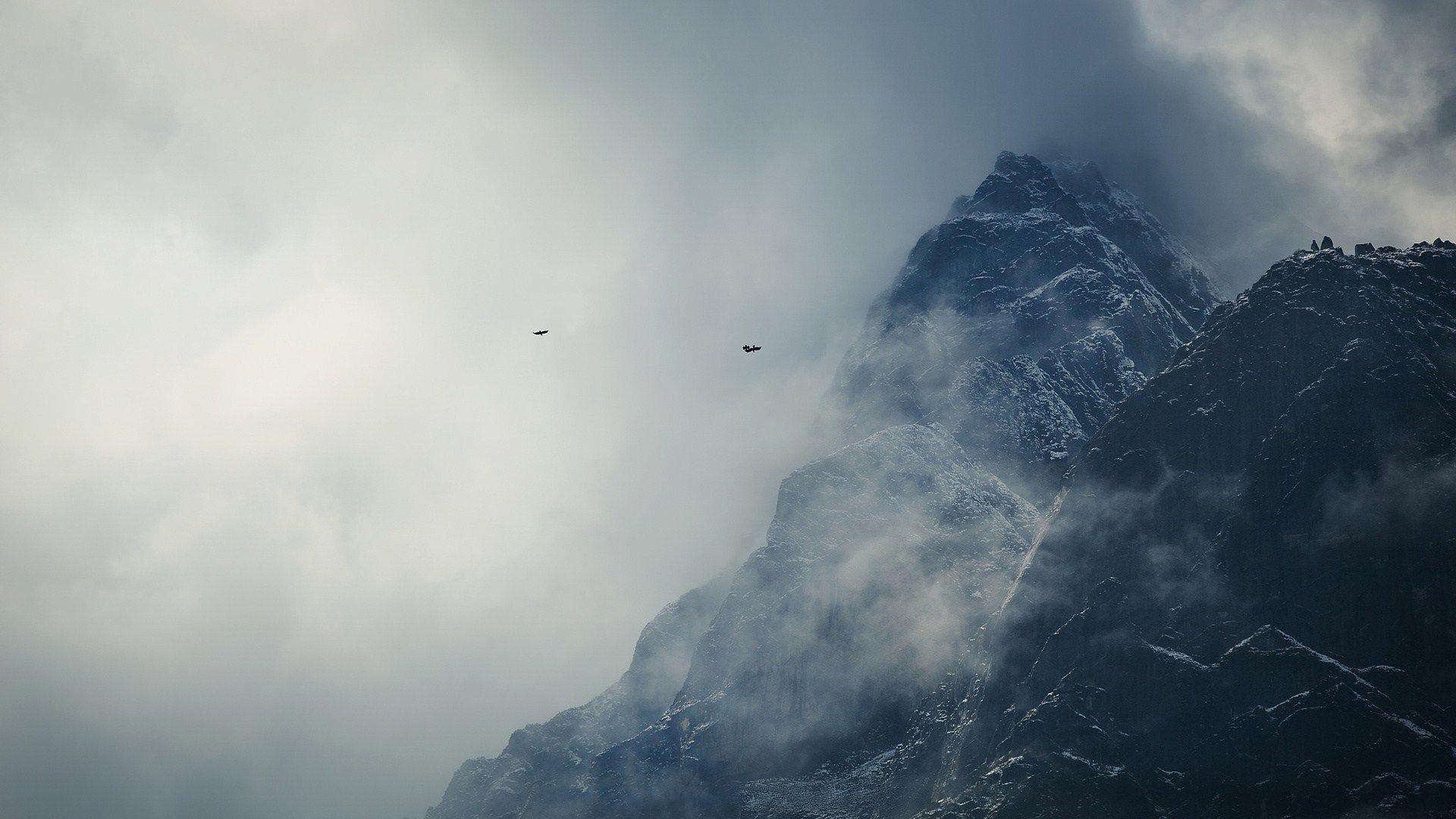 1920x1080 Birds Mountains