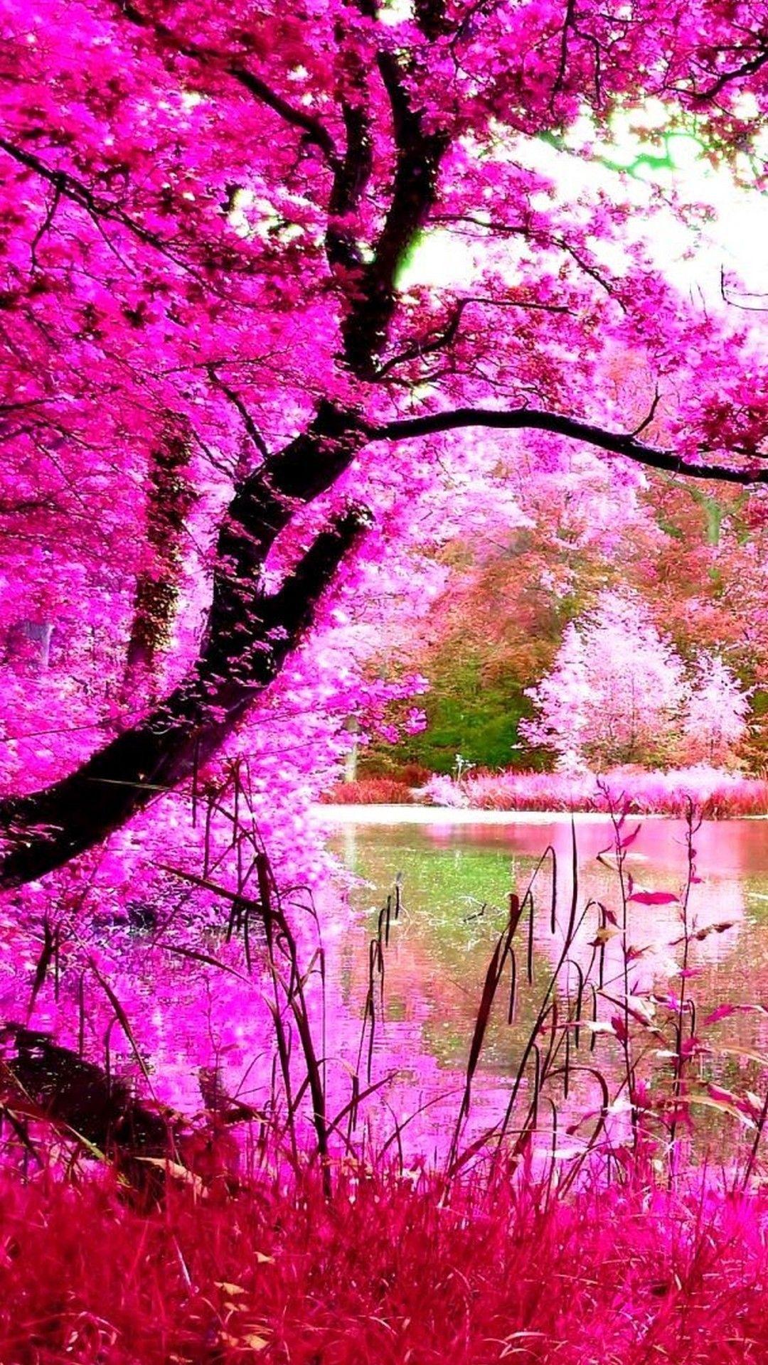 1080x1920 Beautiful Pink Nature iPhone Wallpaper 3D iPhone Wallpaper