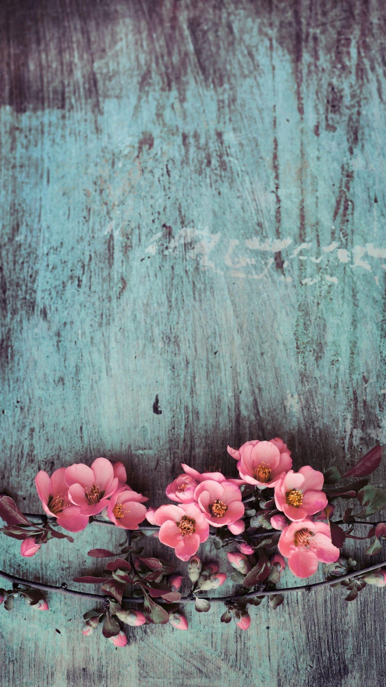 Rustic Floral iPhone Wallpapers Top Free Rustic Floral iPhone