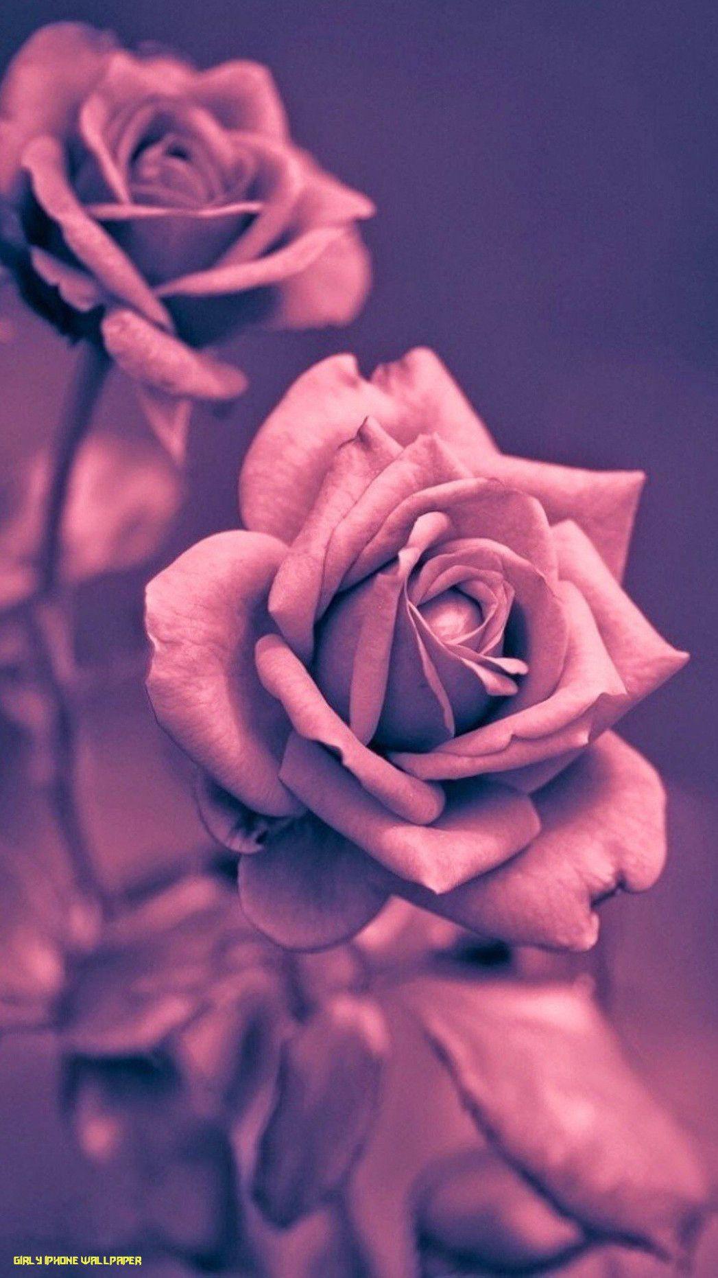 1047x1862 Things You Should Know Before Embarking On Girly iPhone