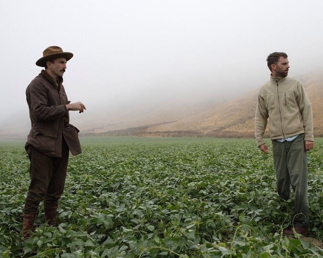 1084x867 The Spin on Paul Thomas Anderson « The Schleicher Spin