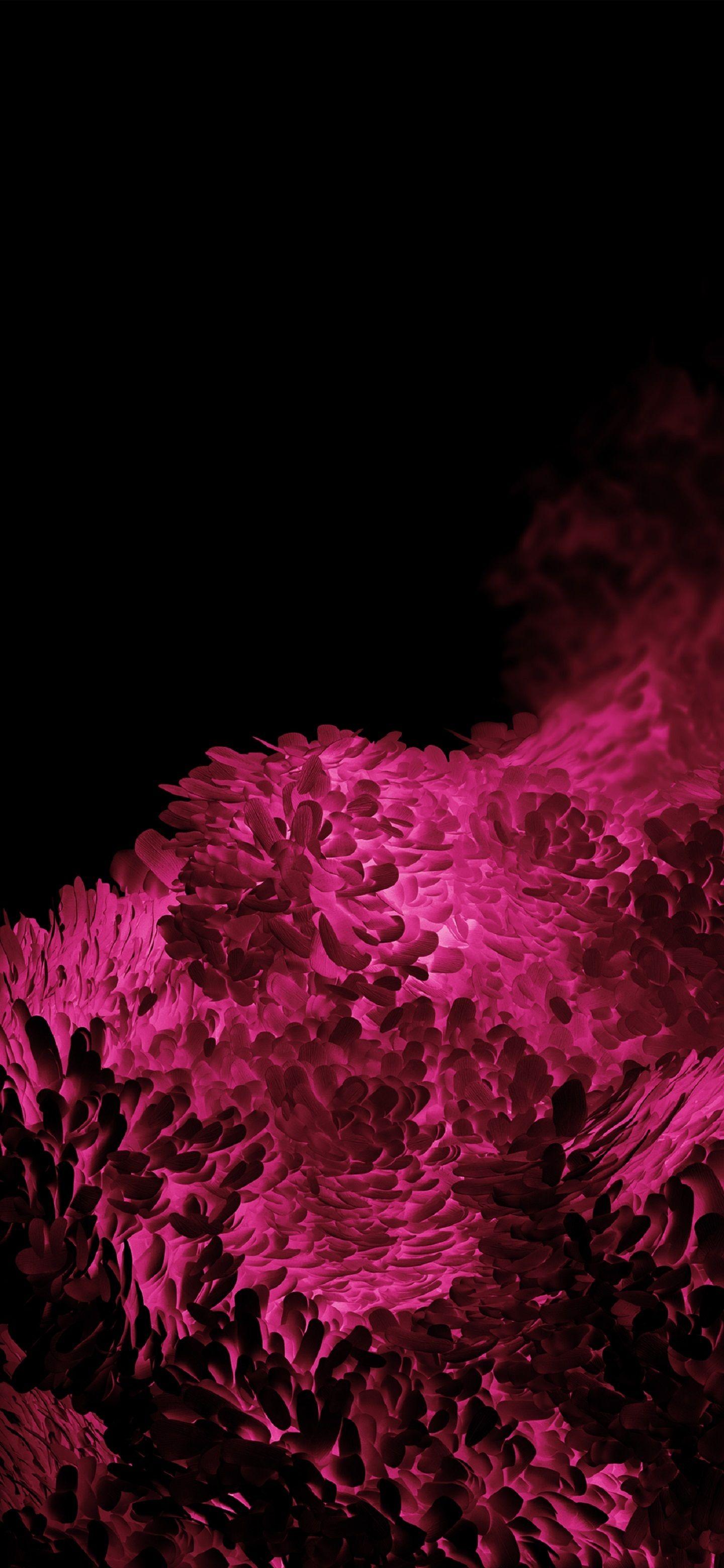 1440x3120 Samsung Galaxy S20 Wallpaper