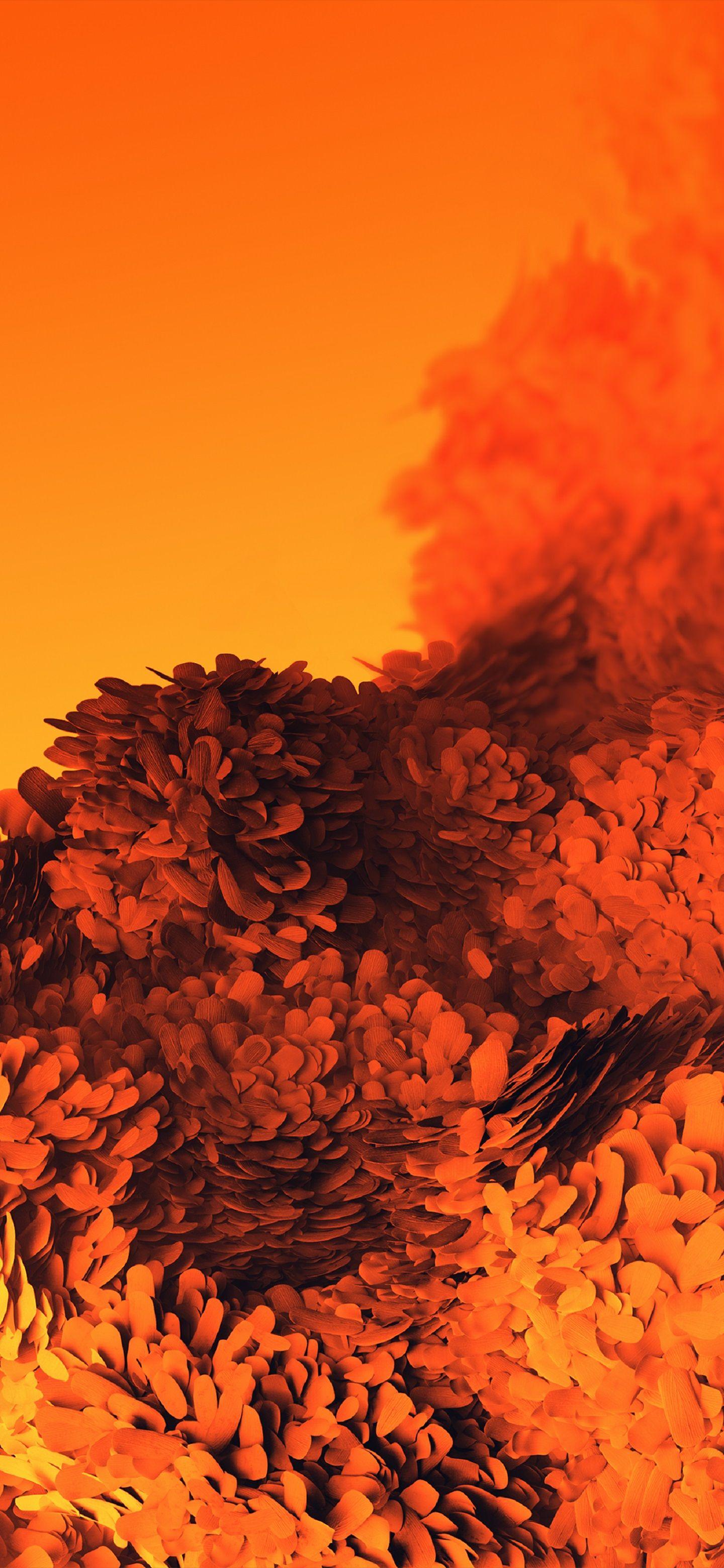 1440x3120 Samsung Galaxy S20 Wallpaper