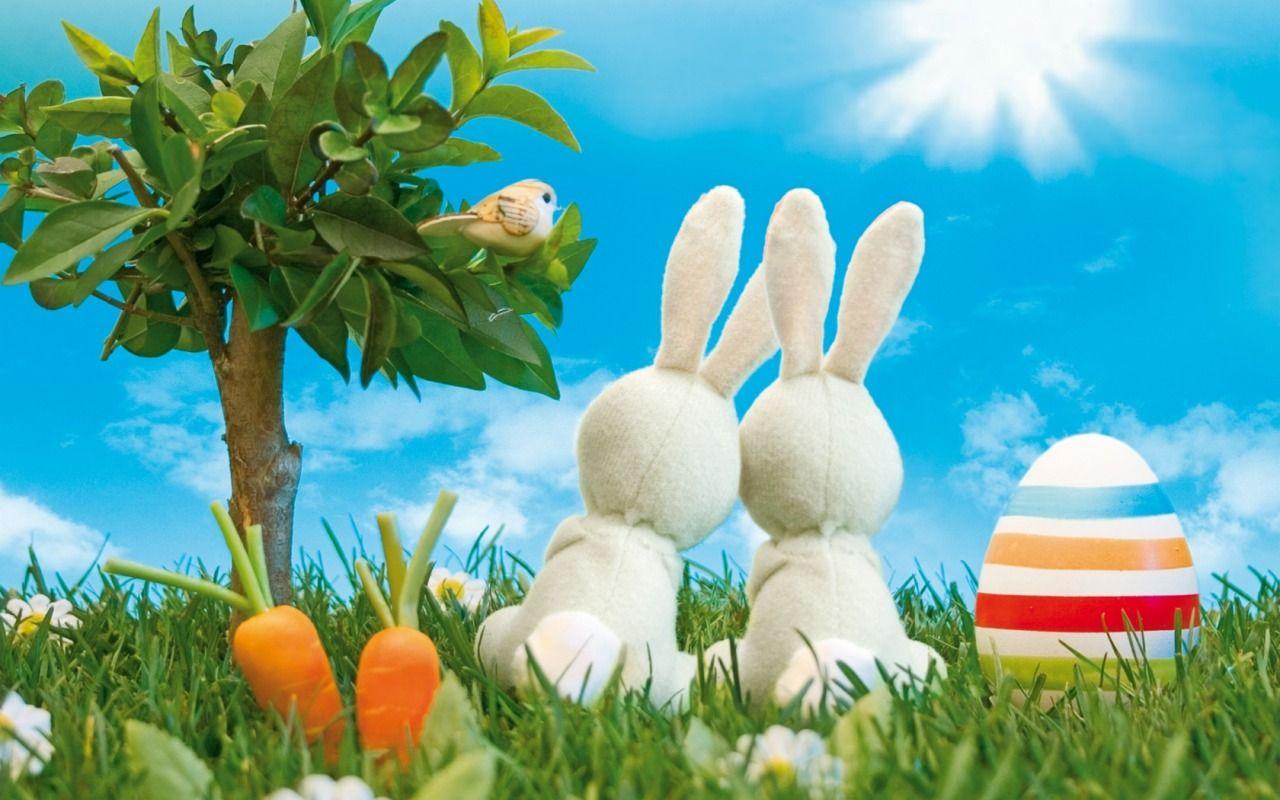 1280x800 Easter Wallpaper 5554 1280x800 px