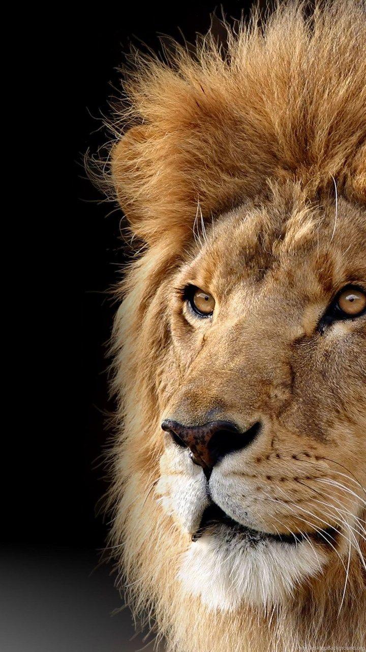720x1280 Fonds D'écran Mac Os X Lion : Tous Les Wallpaper Mac Os X Lion