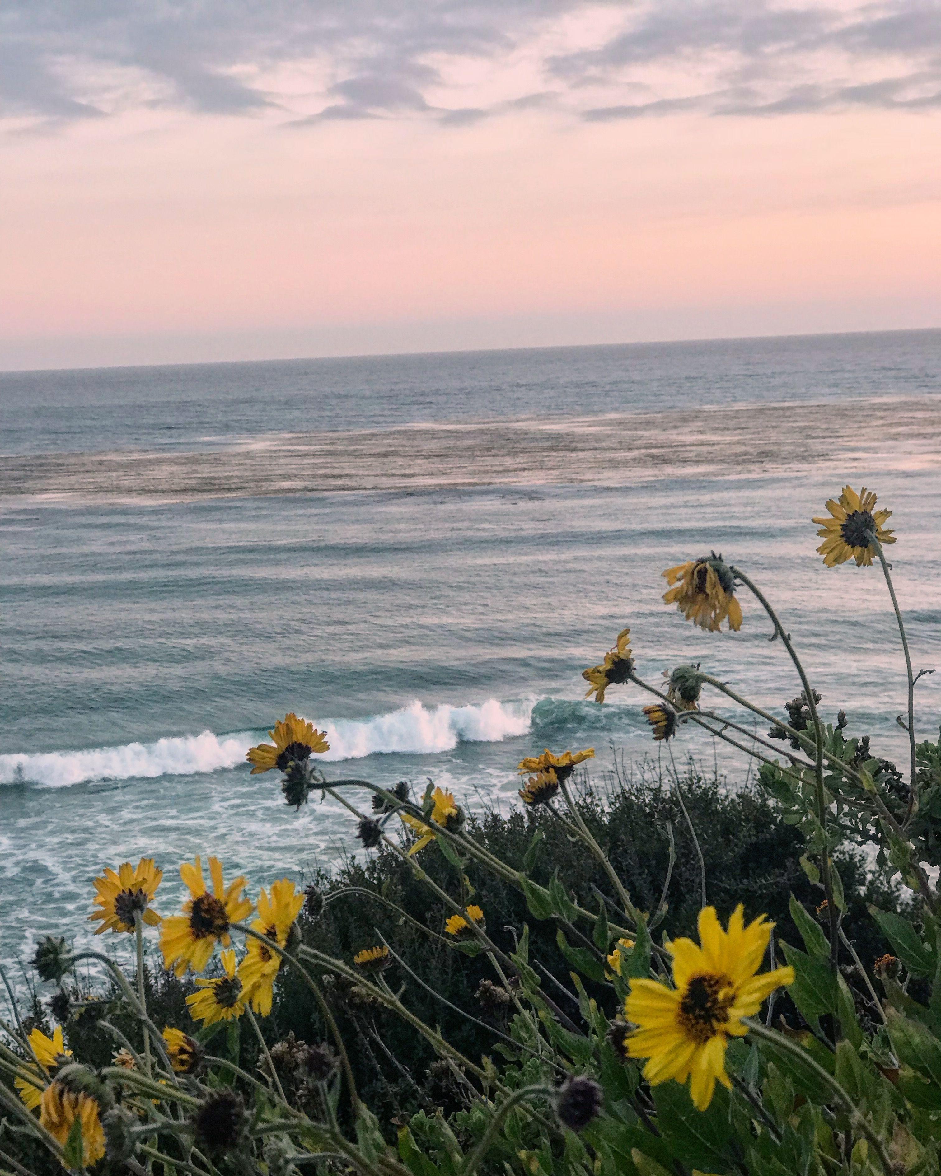3024x3780 Malibu Tides on Print & Canvas. Nature