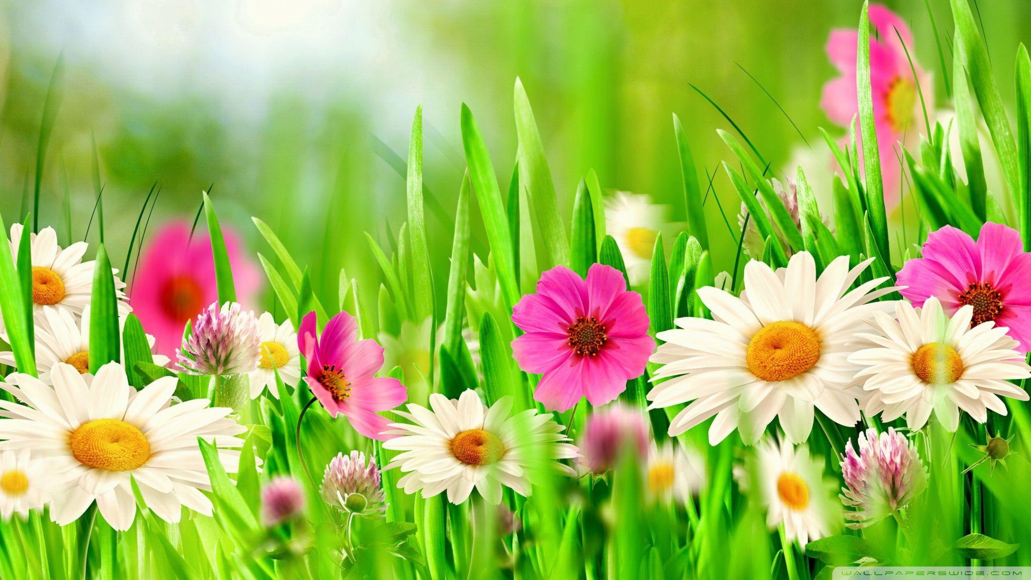 2048x1152 Easter Wallpaper 50290