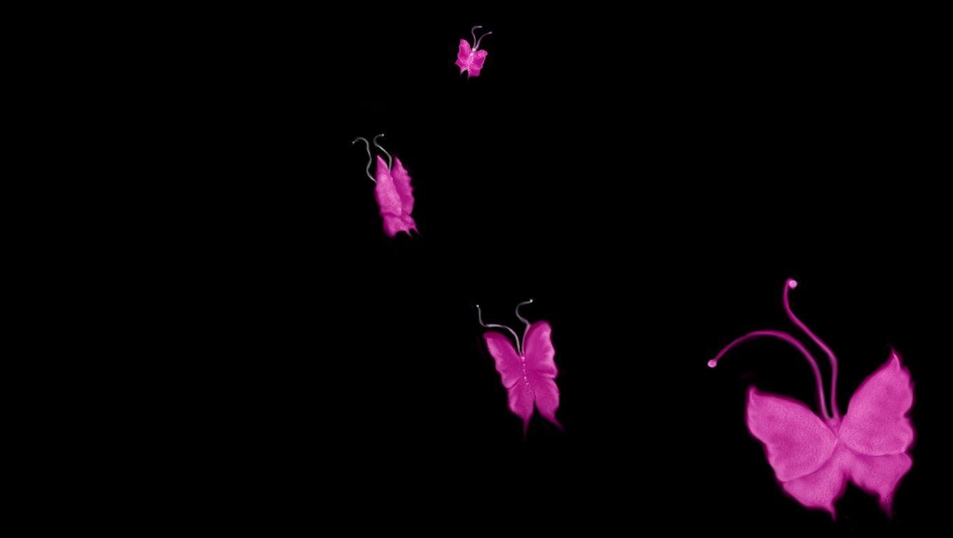 1360x768 Hot Pink And Black Wallpaper