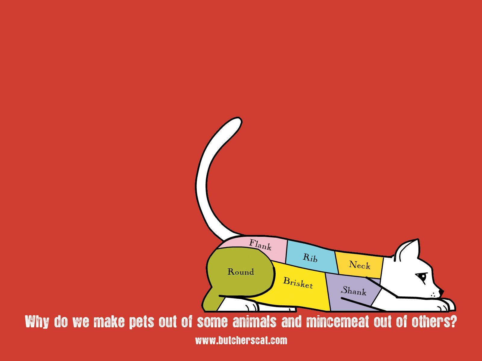 1600x1200 Vegan Wallpaper Desktop