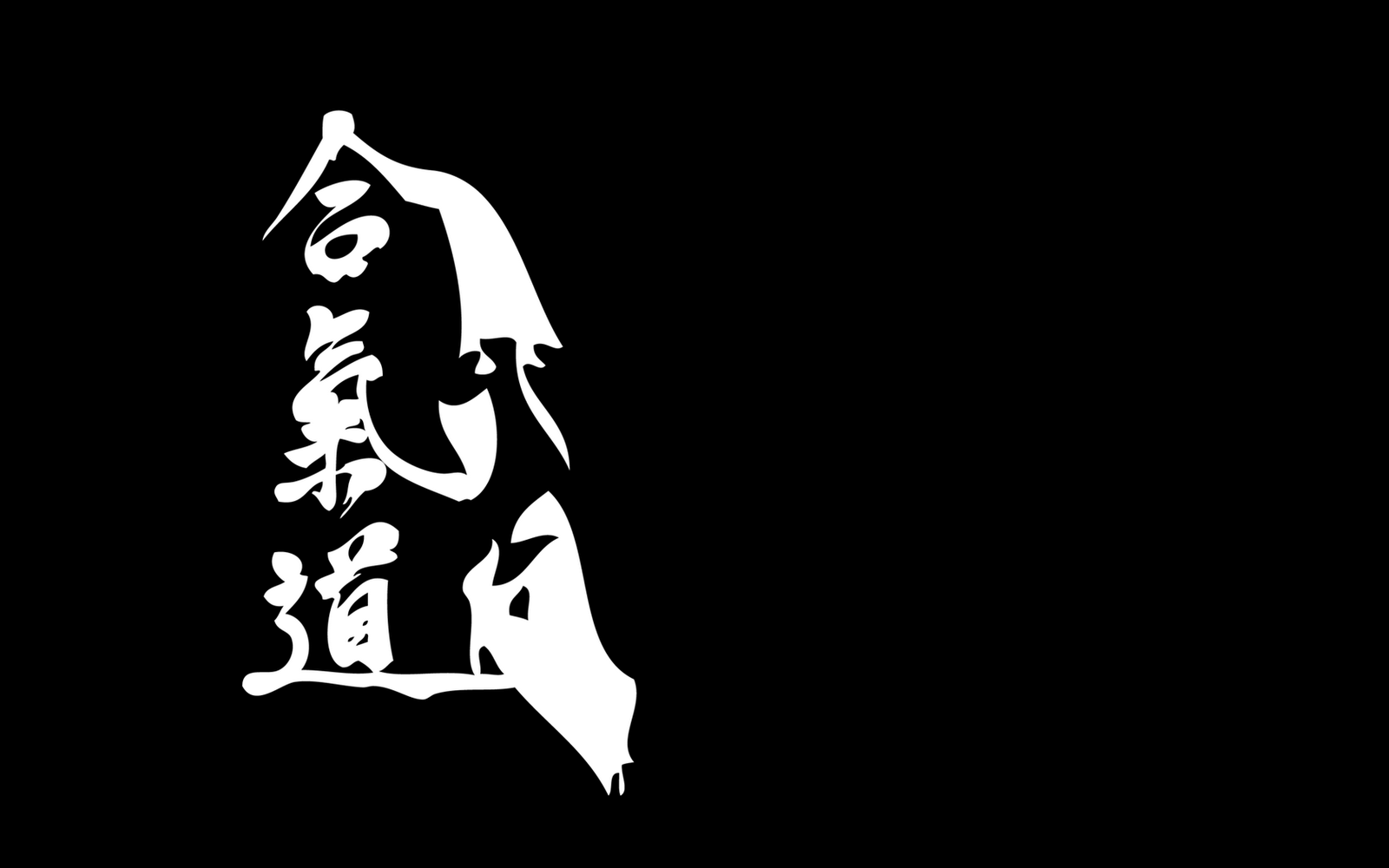 1600x1000 Aikido Wallpaper