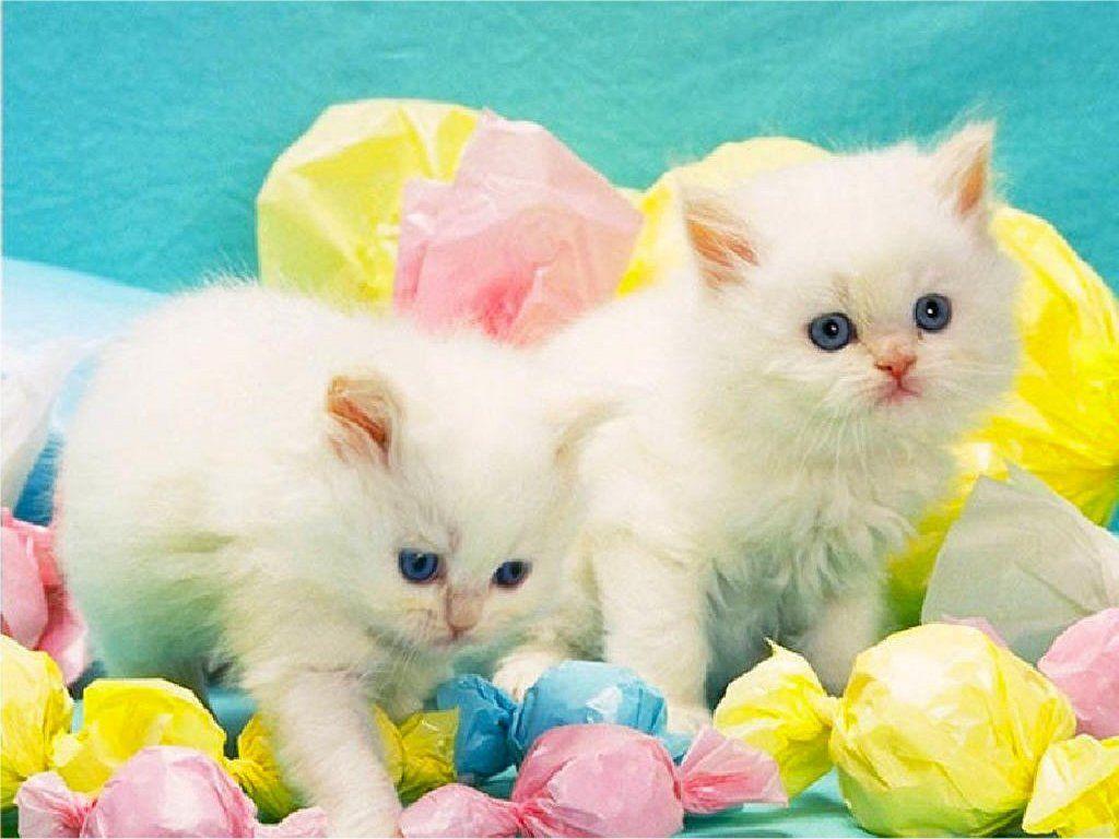 1024x768 Easter Wallpaper for Desktop Happy Easter HD Wallpaper, High 1024x768