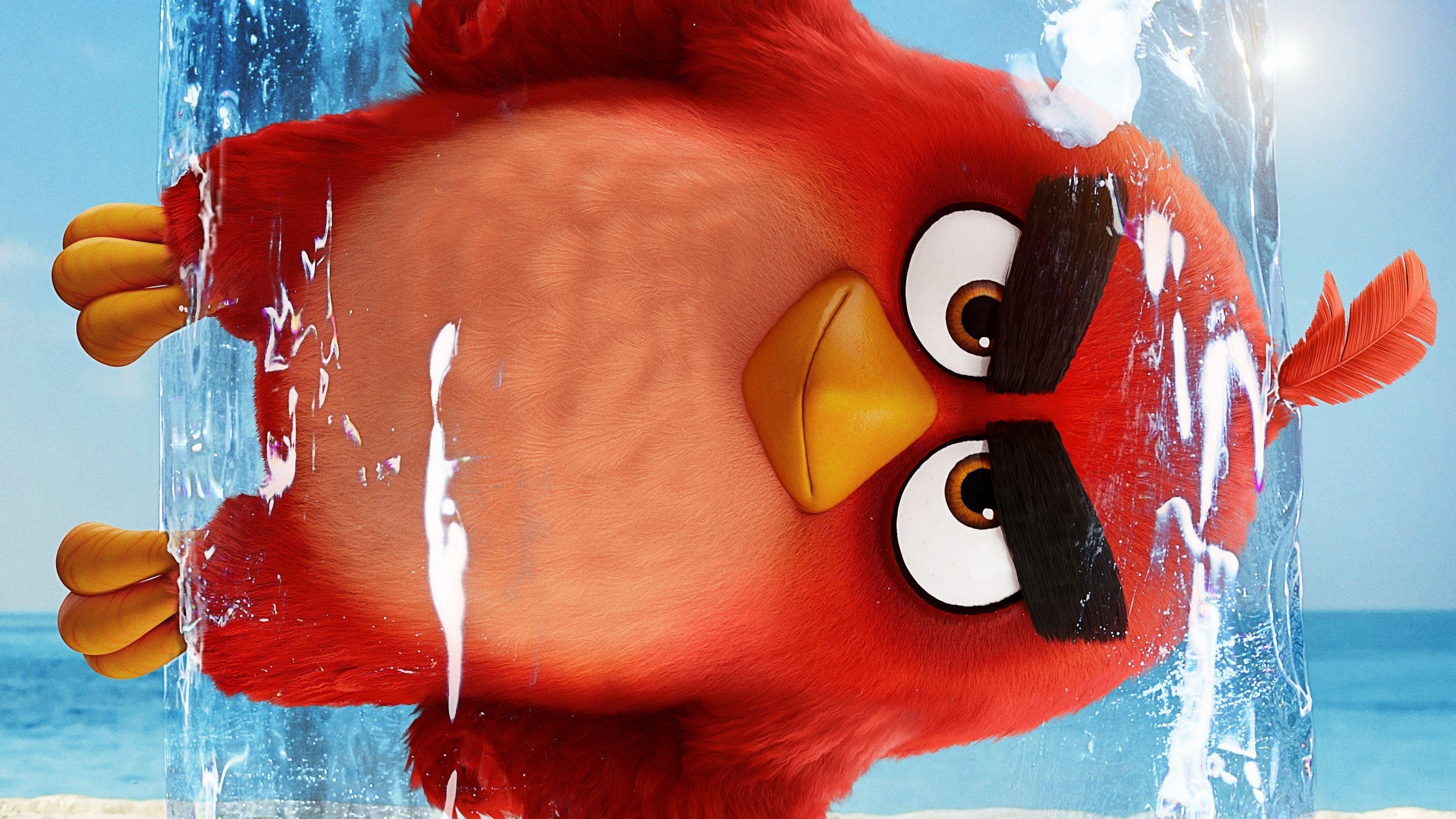 Angry birds 2 картинки