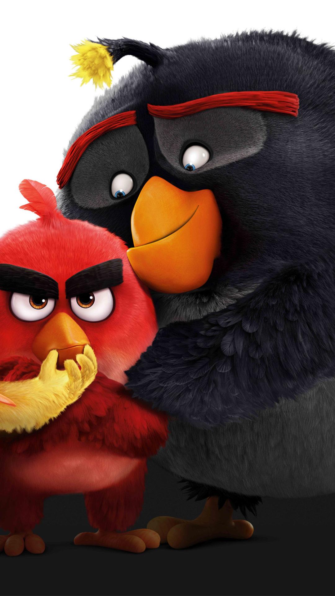 1080x1920 Angry Birds Movie 2016 HD Wallpaper. HD Wallpaper Download