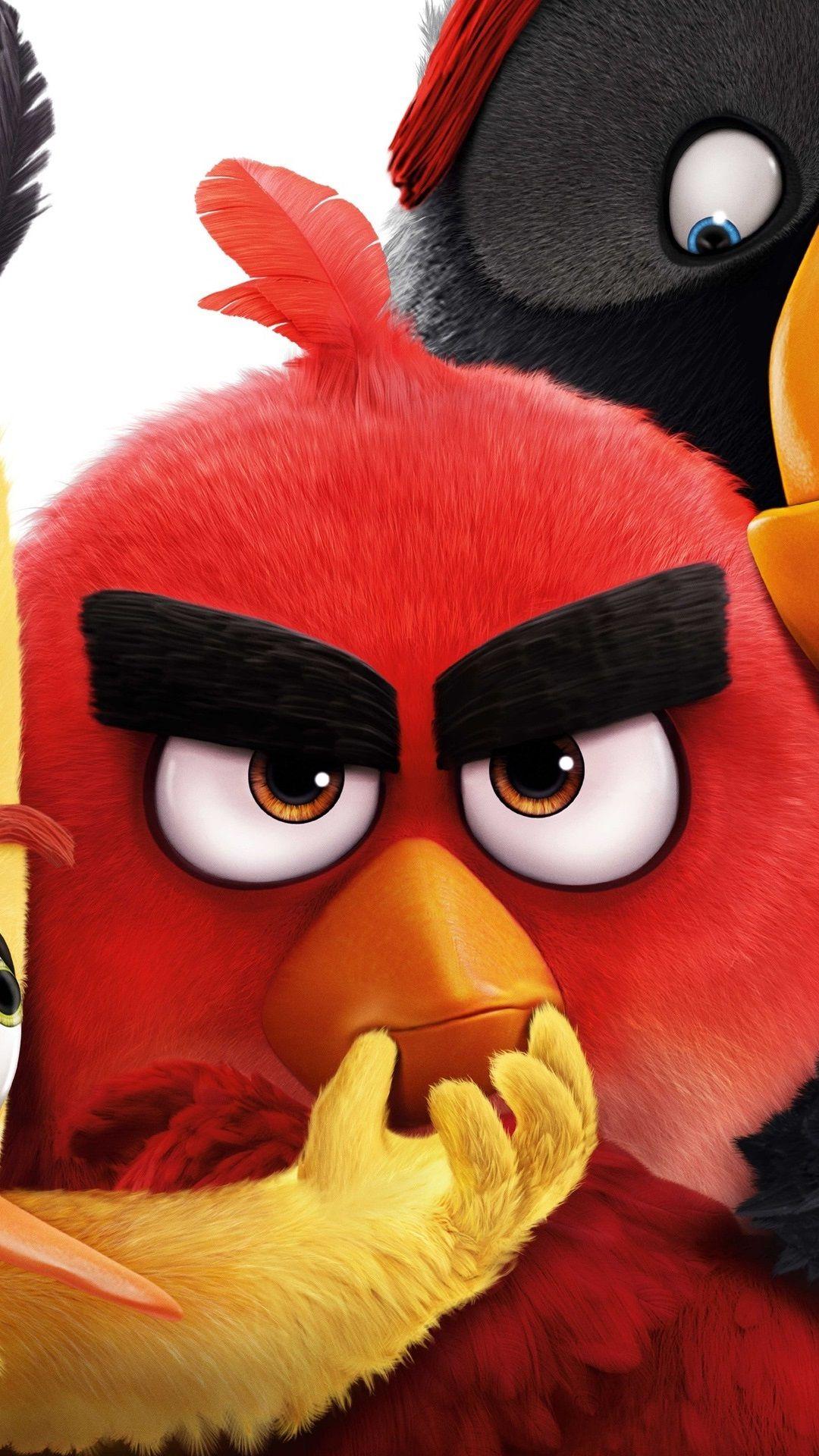 1080x1920 Wallpaper Angry Birds 2016 movie 2560x1920 HD Picture, Image