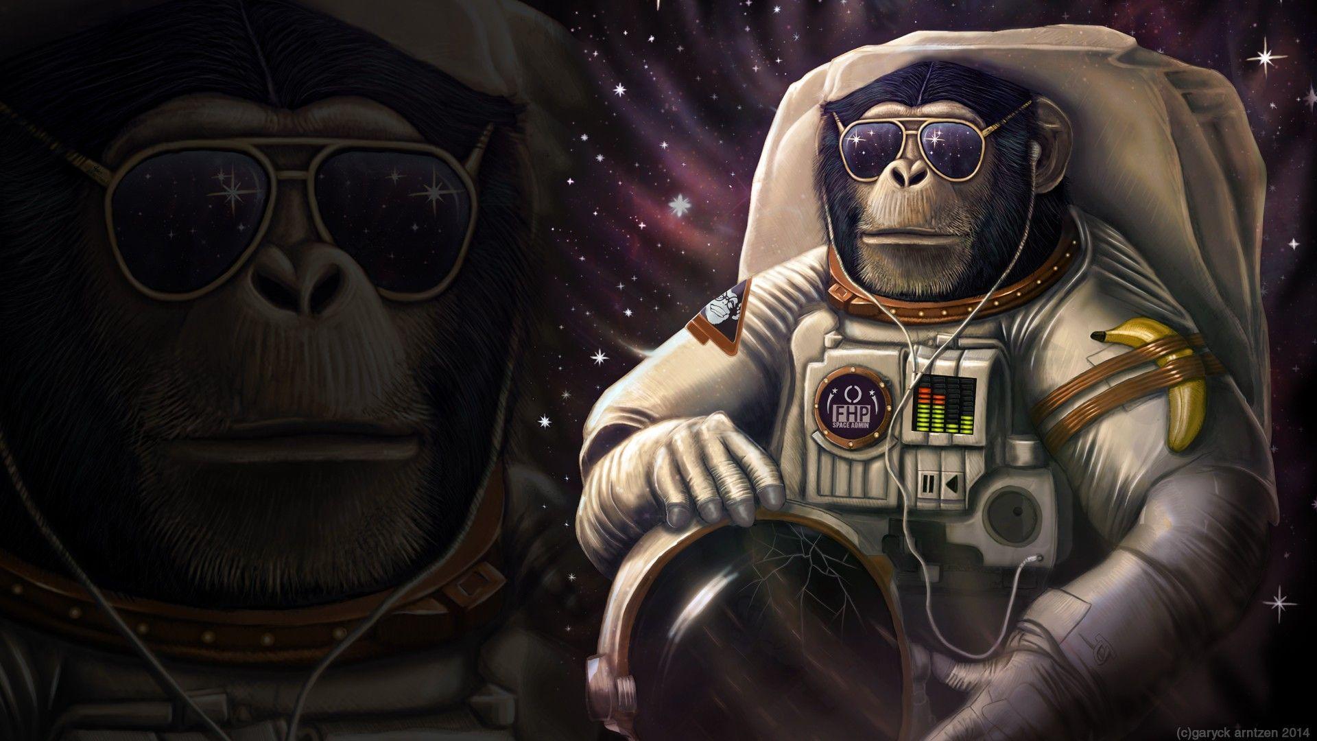 1920x1080 monkeys, #space. Wallpaper No. 277017. Monkey in space