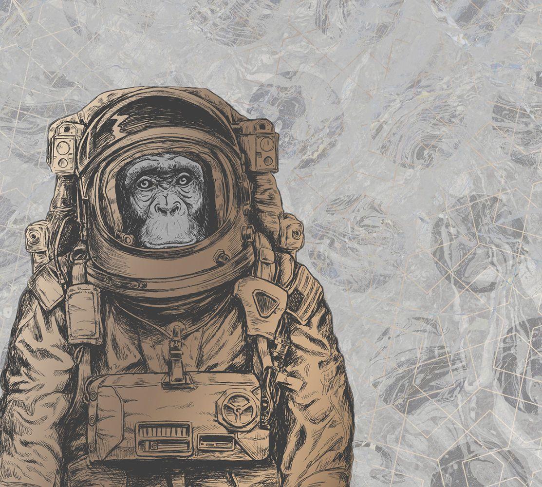 1113x1000 Contemporary wallpaper SPACE MONKEY LECCO SRL