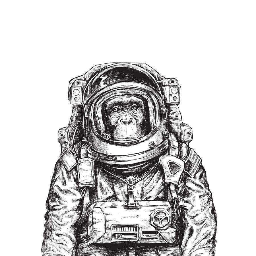 900x900 Details about Monkey Astronaut Illustration Art Print Canvas