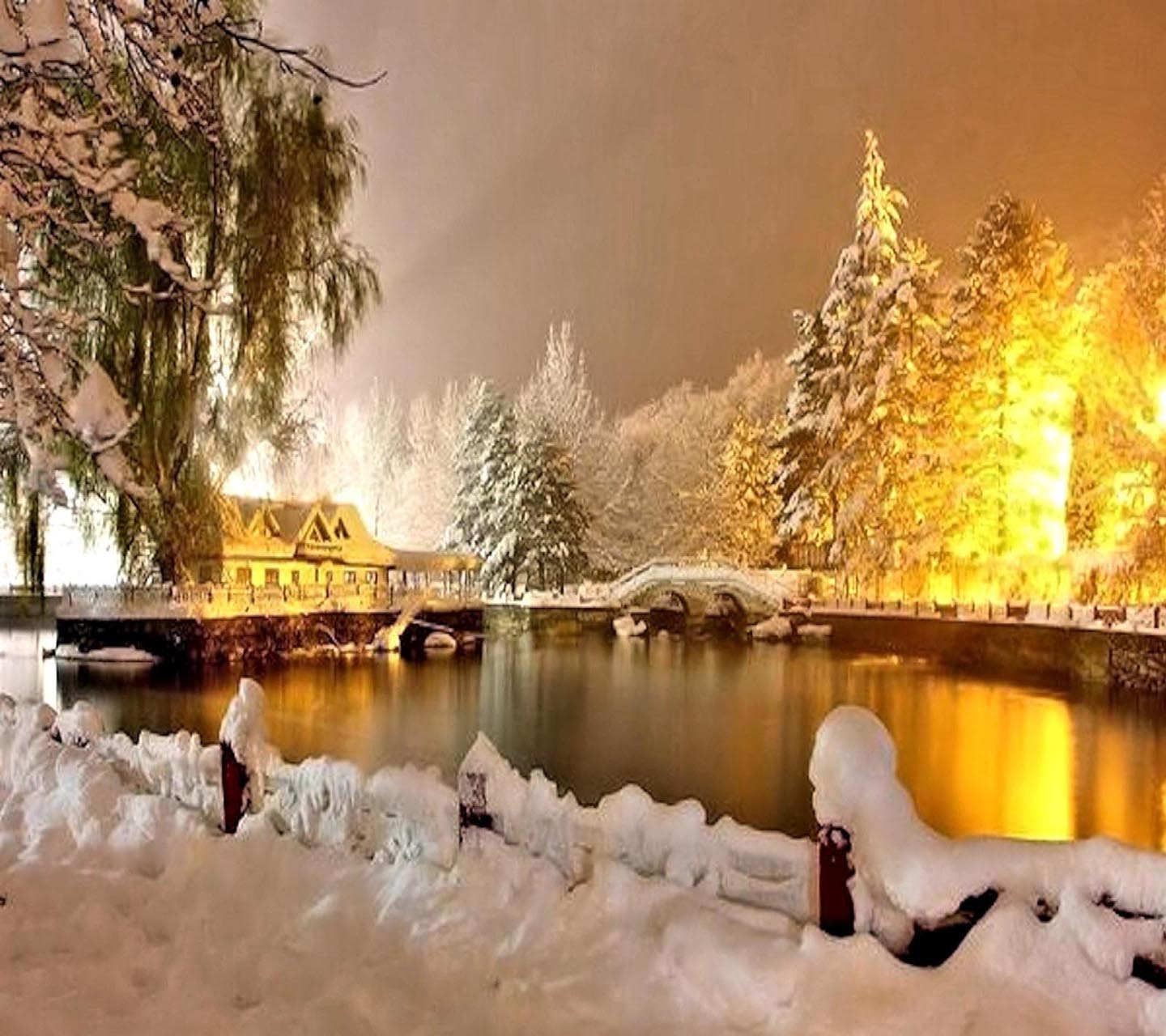 pretty winter scenery