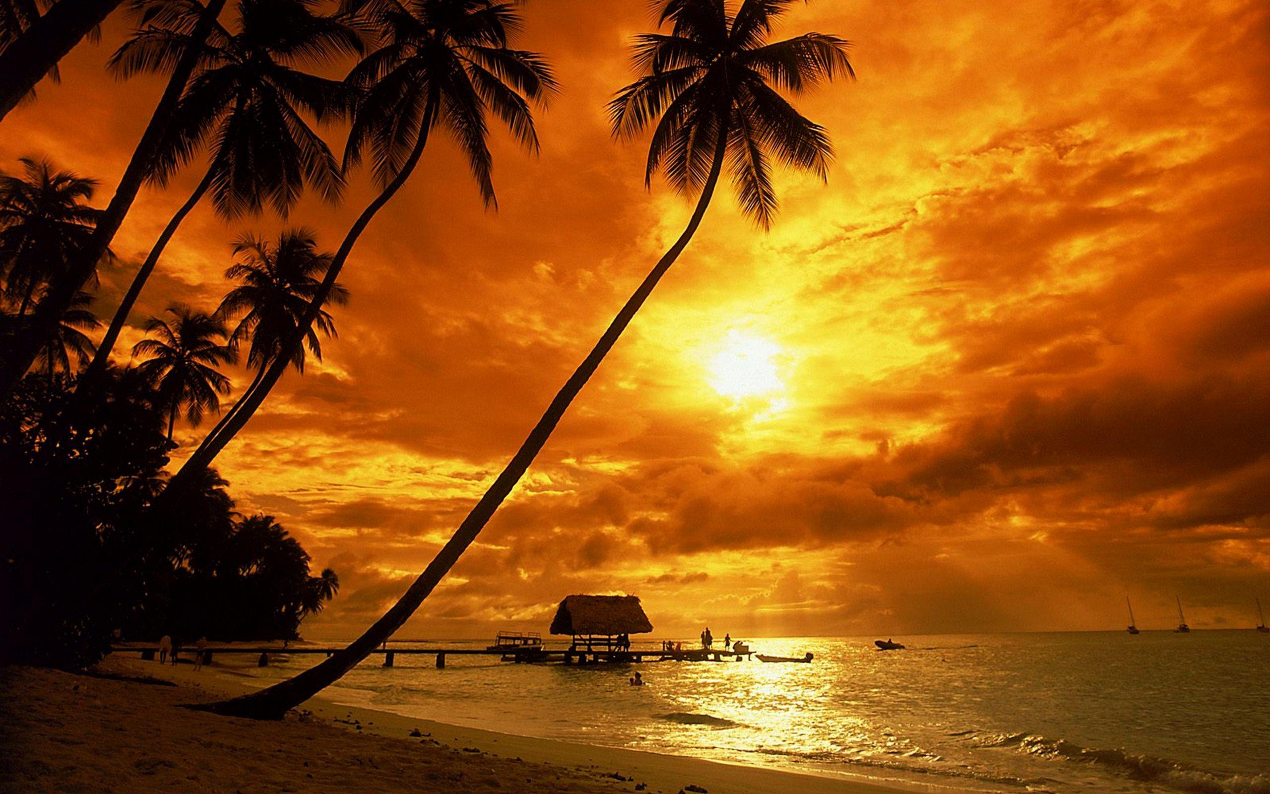 2560x1600 Tropical sunset wallpaper