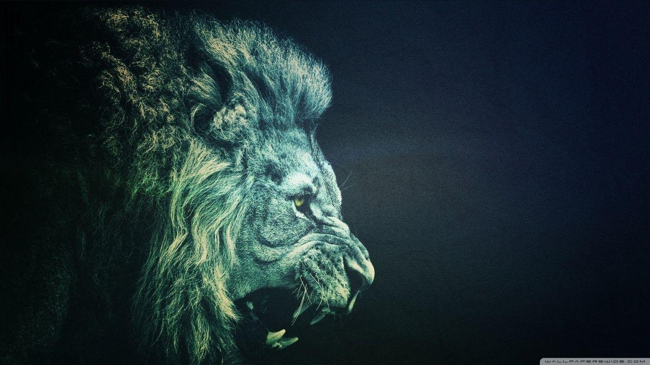 1280x720 LION Hình nền nền máy tính Ultra HD cho TV 4K UHD: Màn hình rộng & UltraWide Máy tính để bàn & máy tính xách tay: Máy tính bảng: Điện thoại thông minh