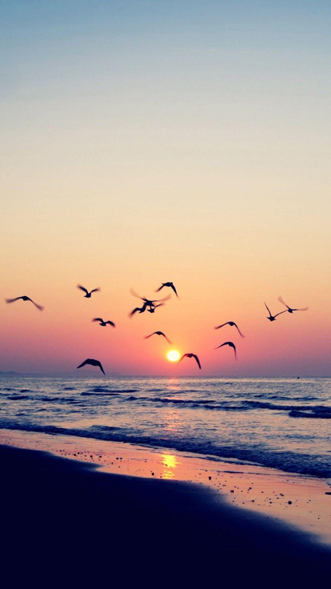 1080x1920 Twilight Coast Beach Ocean Wave Seagull Sunset iPhone 8 Wallpaper