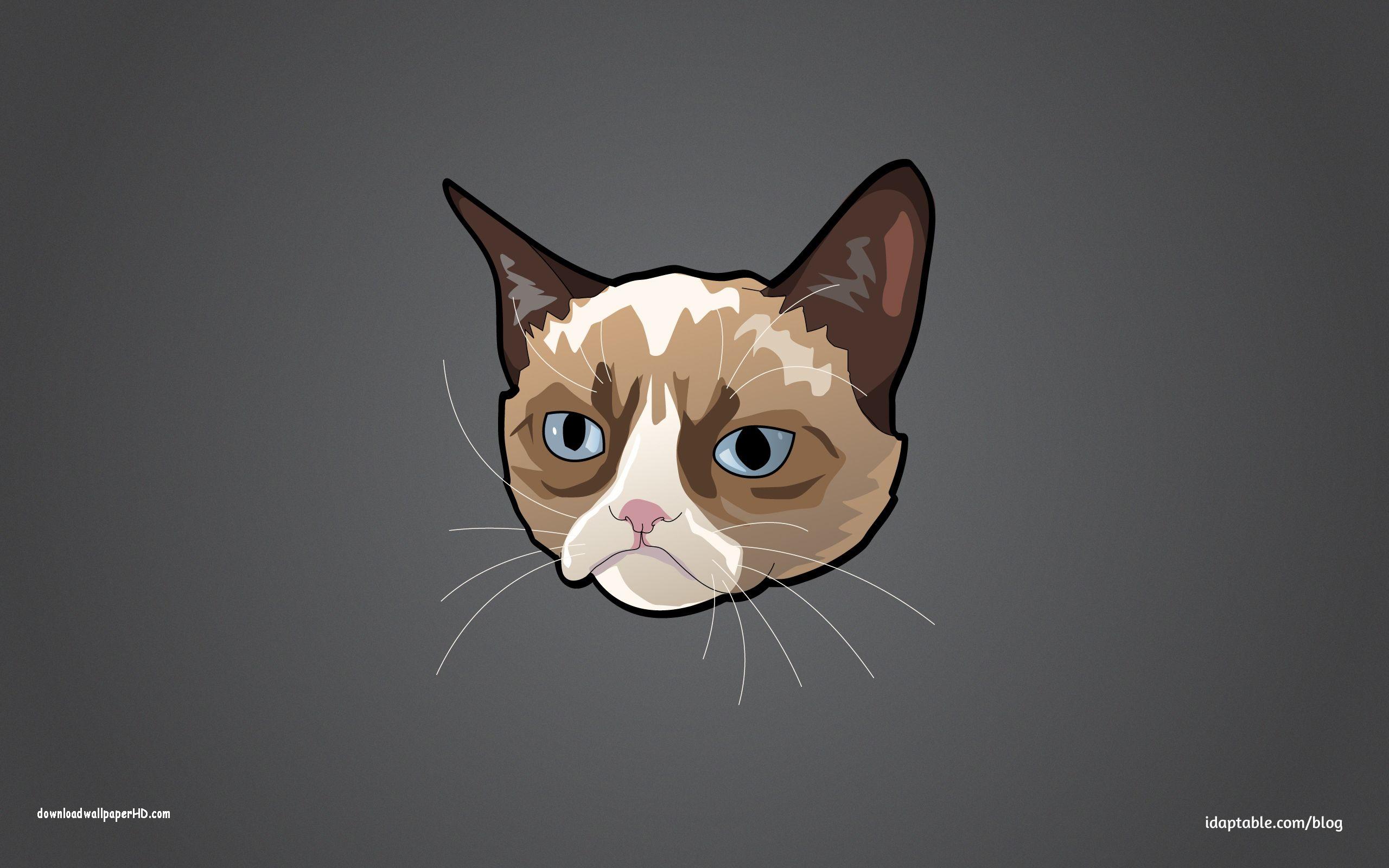 Angry Cute Cat wallpaper by border_100 - Download on ZEDGE™