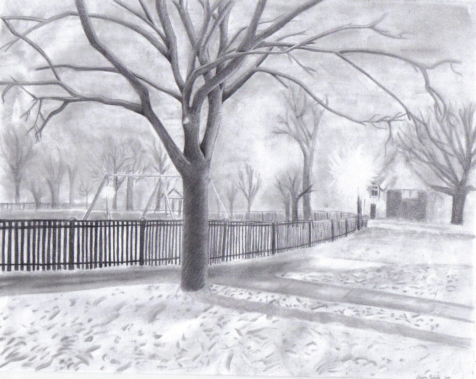 Natural Scenery Pencil Drawing