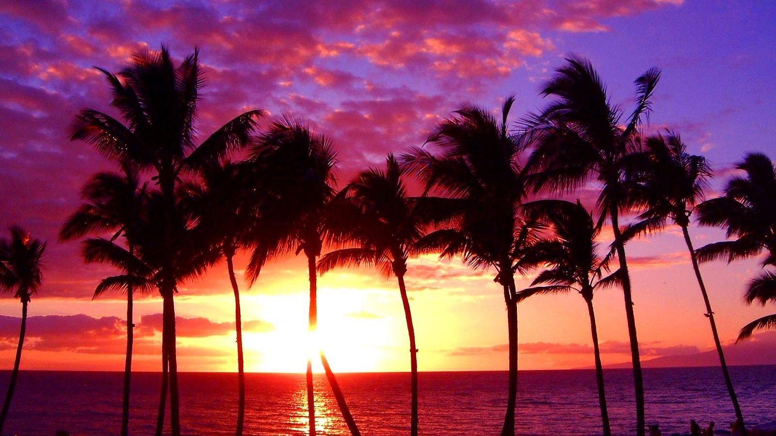 1600x900 Free download Beach Maui Hawaii Sunset Ocean Tropical Paradise Nature [1600x1080] for your Desktop, Mobile & Tablet. Explore Sunset Ocean Rainbow Wallpaper. Sunset Ocean Rainbow Wallpaper, Ocean Sunset Wallpaper