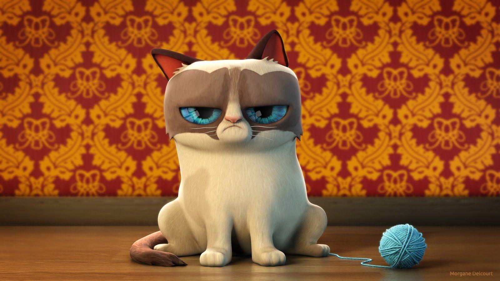 1600x900 Cat meme quote funny humor grumpy (112) wallpaperx900