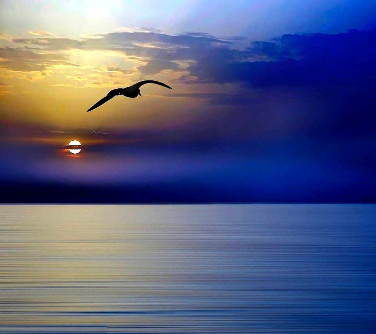 1440x1280 Paradise Sunset wallpaper