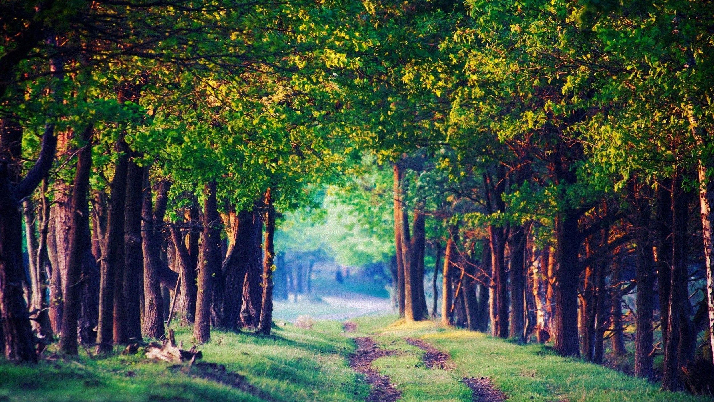 2500x1407 Earth, Nature Wallpaper HD / Desktop and Mobile Background