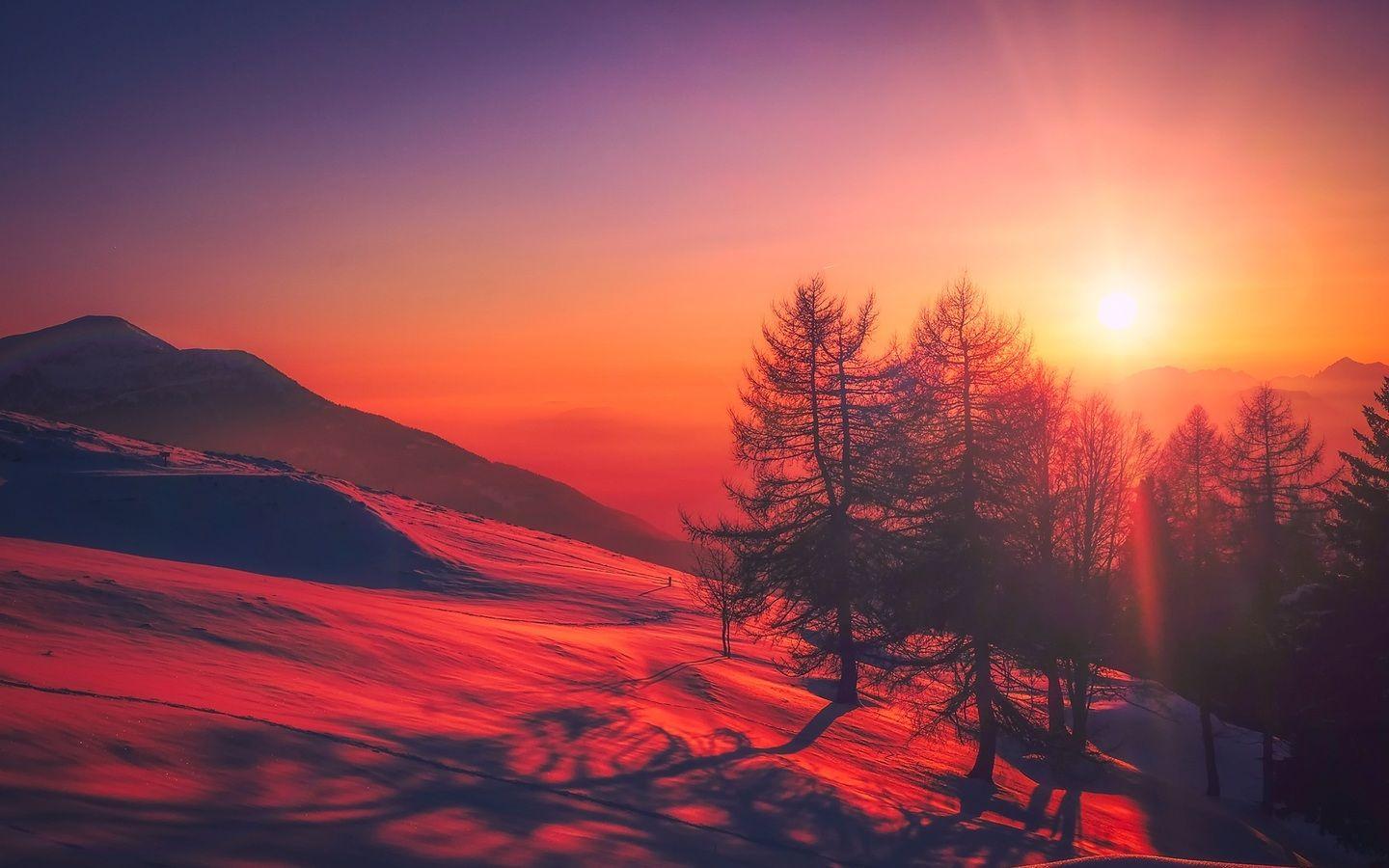 1440x900 Beautiful Red Tone Sunrise Snow Trees 1440x900 Resolution