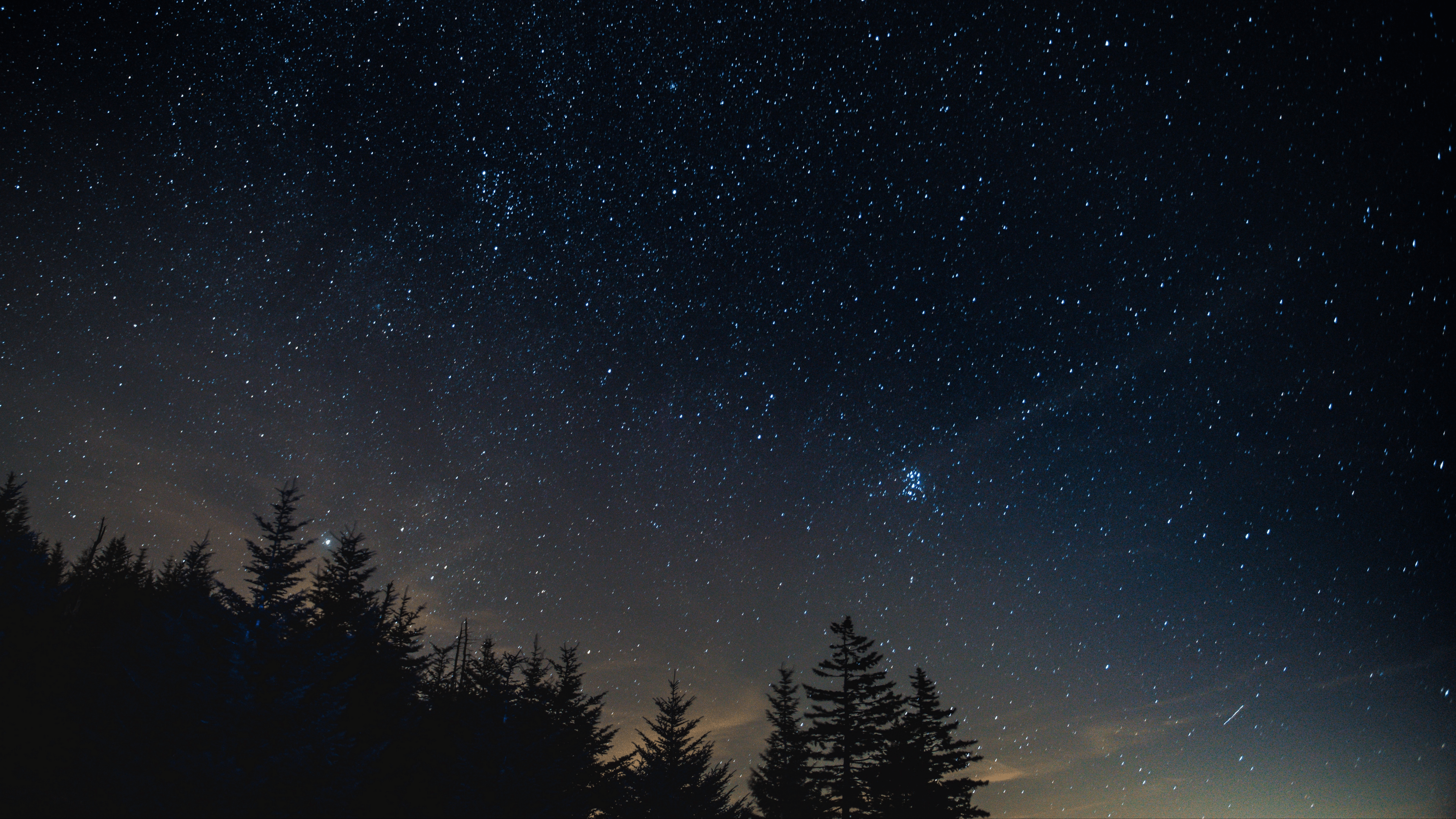 3840x2160 Starry sky night trees night landscape [3840x2160]. Night landscape, Night sky wallpaper, Landscape wallpaper