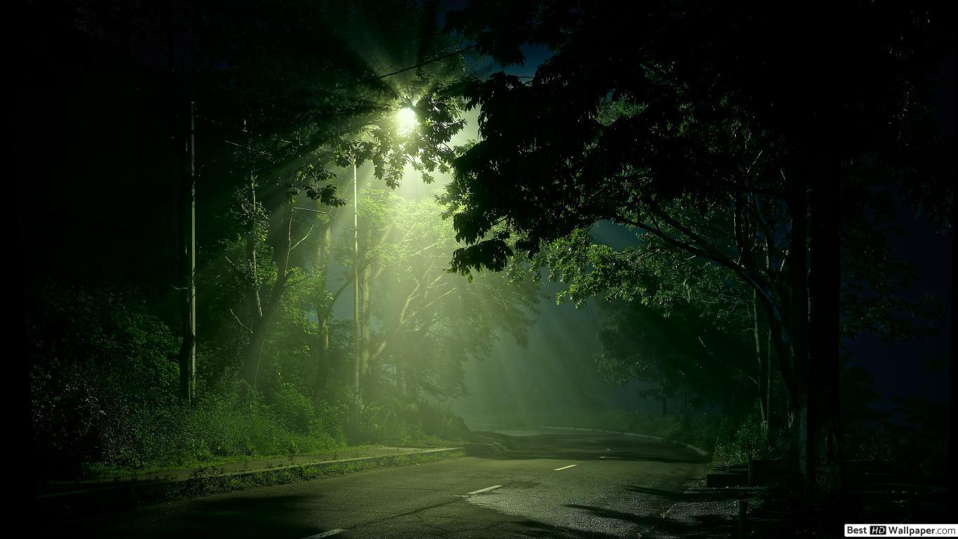 1366x768 Night Sky Forest HD Desktop Wallpaper Kecbio