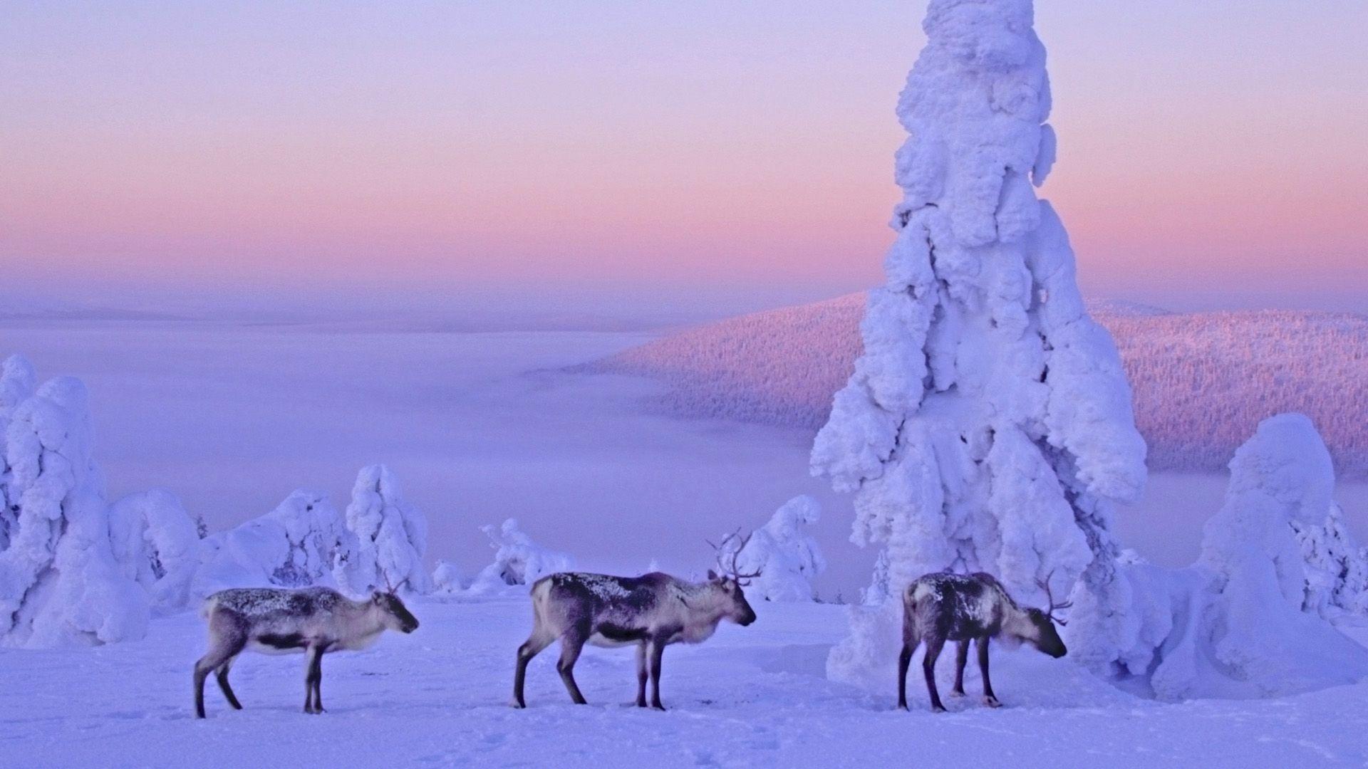 1920x1080 Free download Snow Background tumblr wallpaper Snow Background