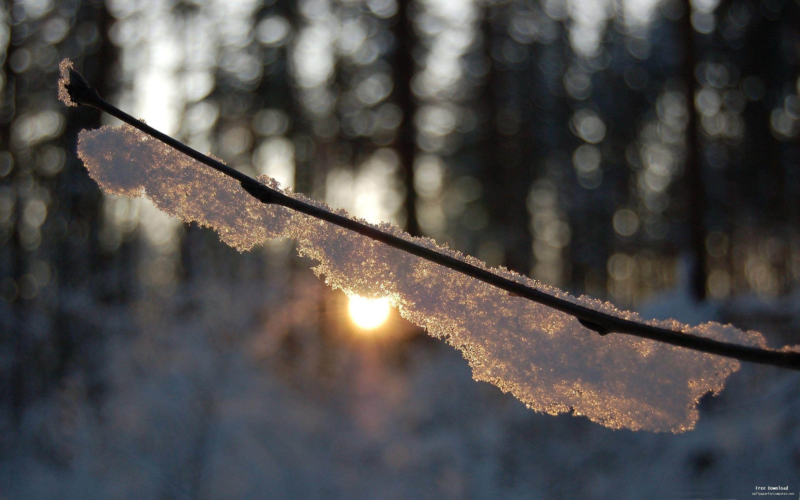 2560x1600 Cozy Winter Warm Wallpaper
