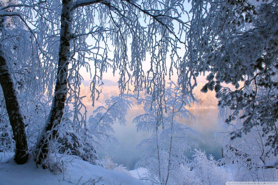 1152x768 Beautiful Winter Scenery (id: 49246)