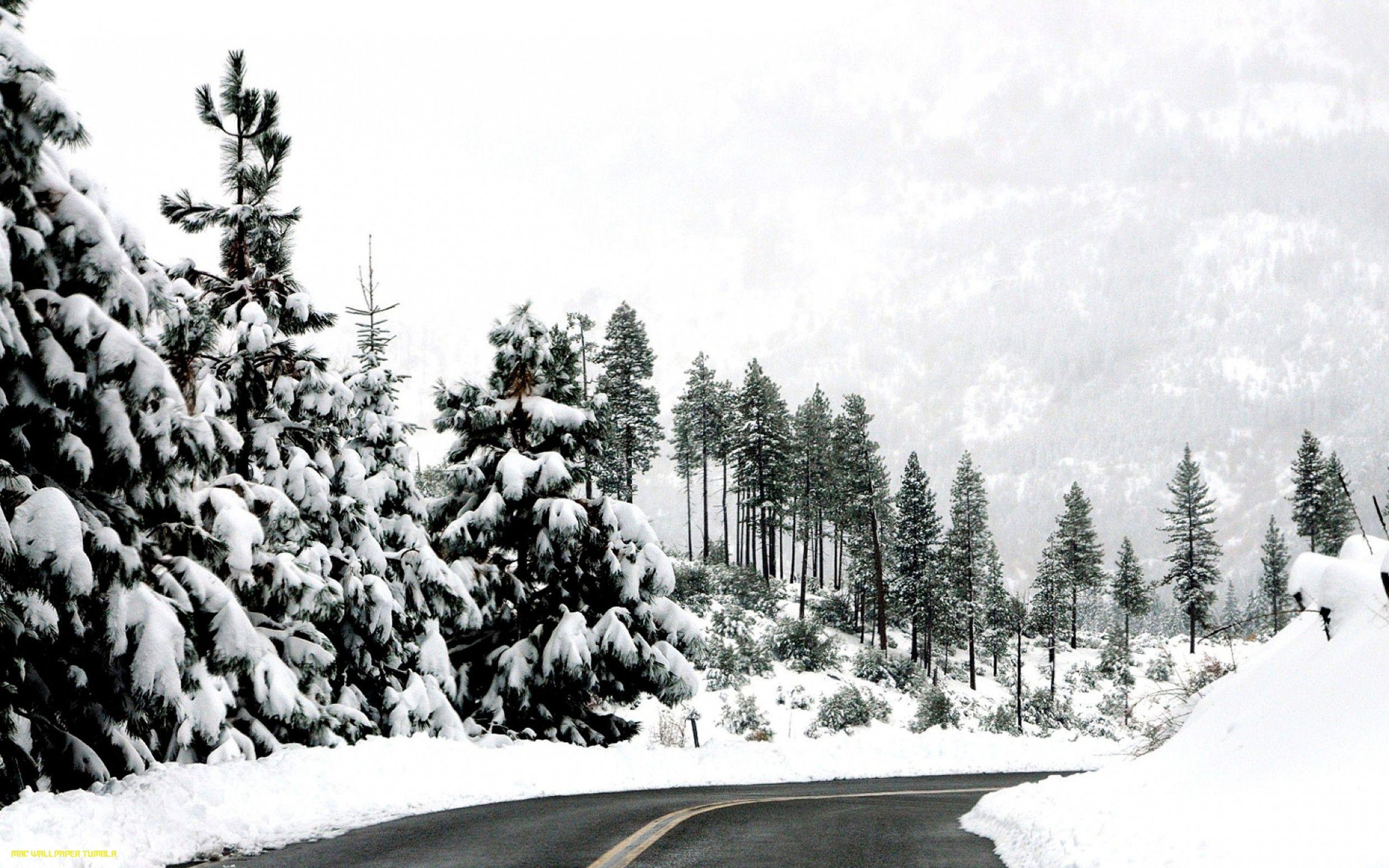 2483x1552 Mac Winter Wallpaper - mac Wallpaper tumblr