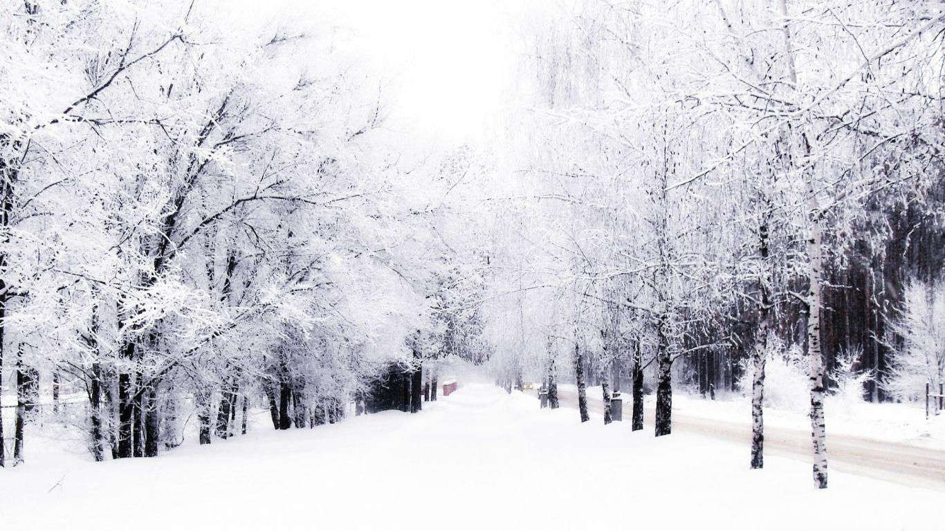 1366x768 Winter Background Wallpaper