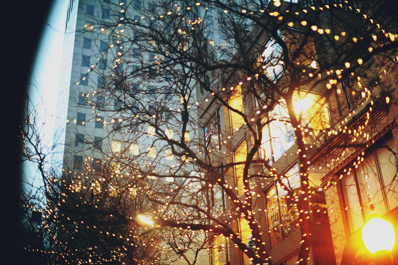 1280x853 gif snow winter gifs starbucks fire autumn december cosy cozy