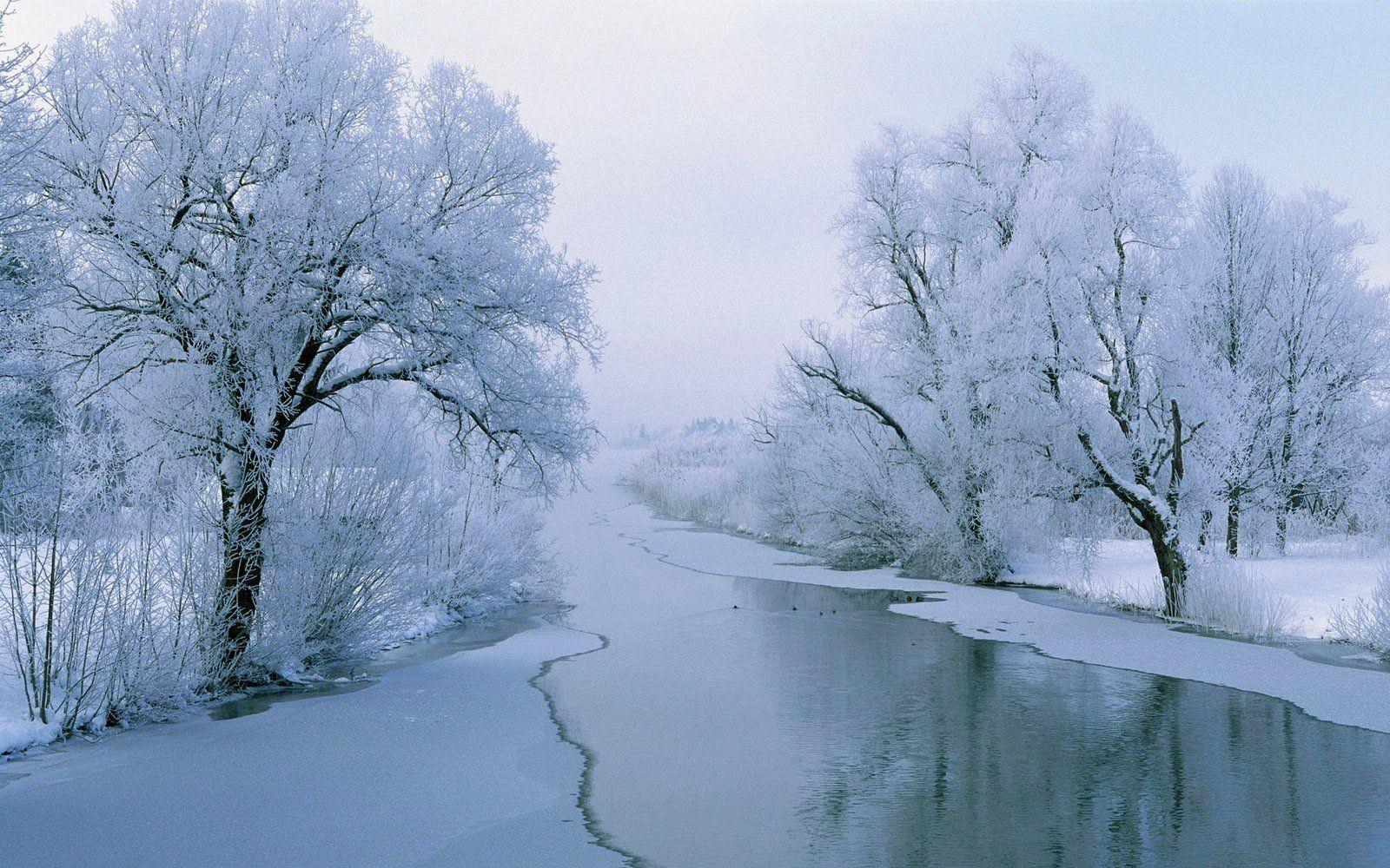 1600x1000 National Geographic Wallpaper Winter Scenes
