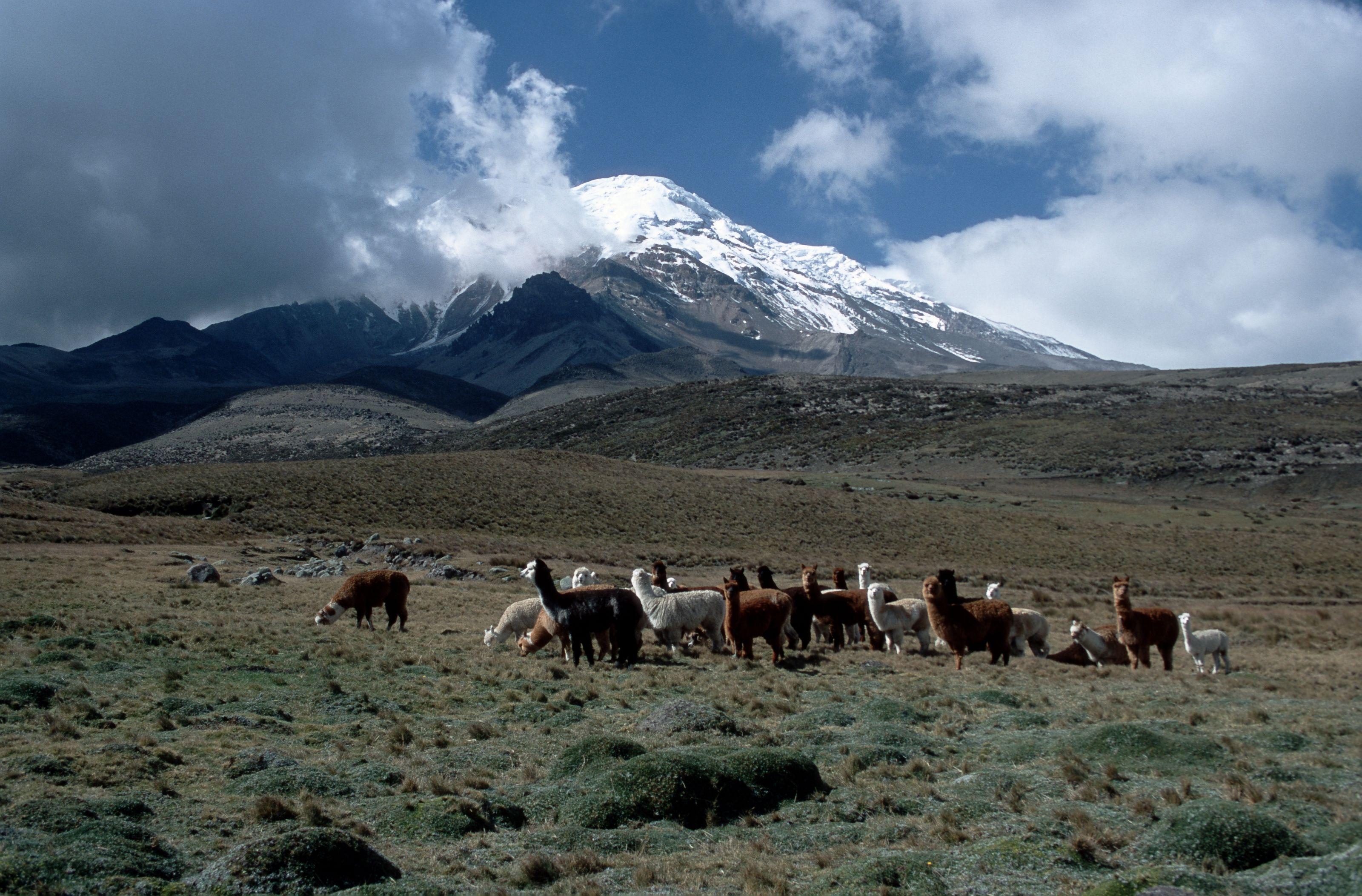 3200x2105 Chimborazo Cotopaxi Volcano and Valley of the Volcanoes in Ecuador