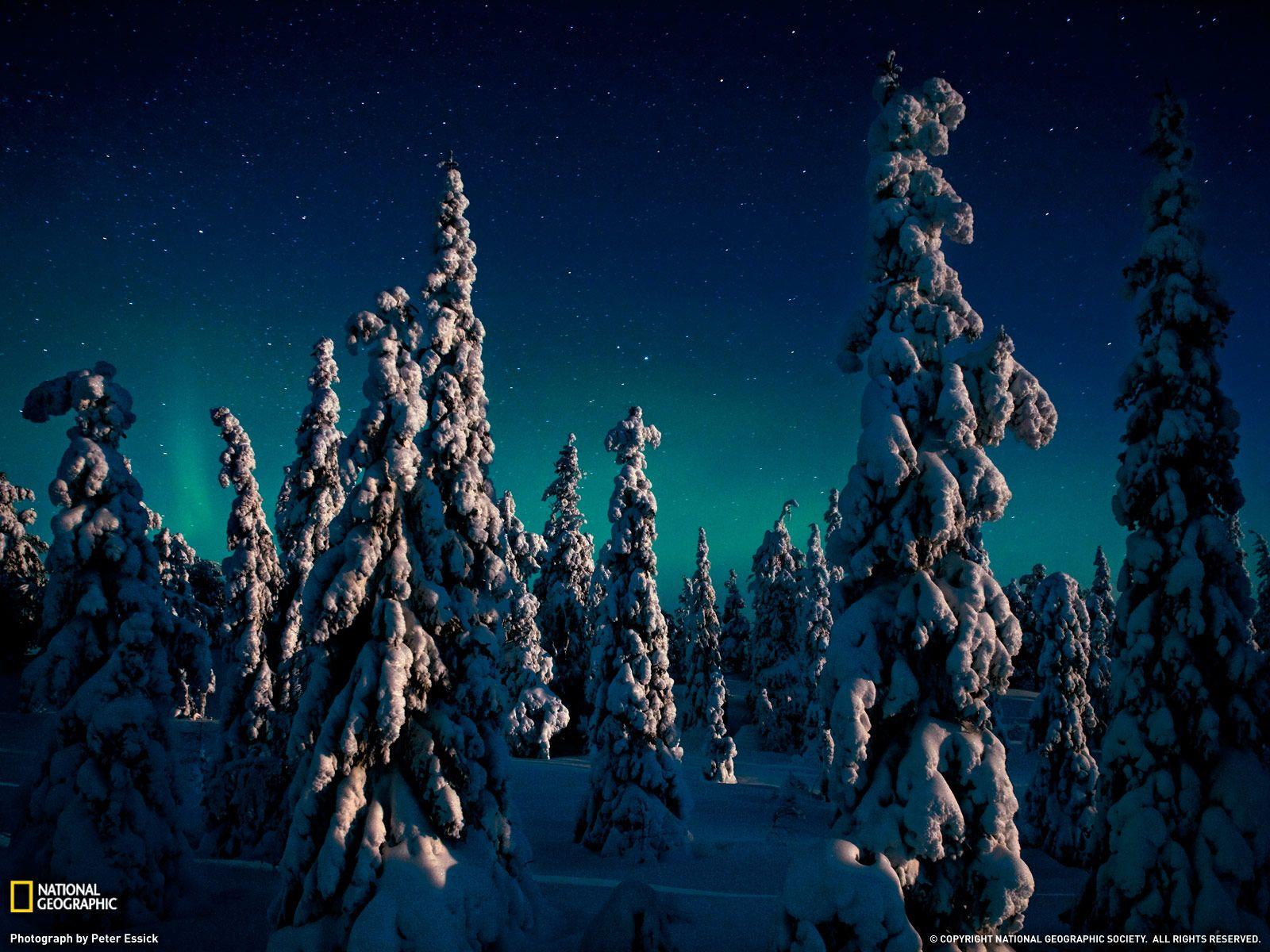 national-geographic-winter-wallpapers-top-free-national-geographic