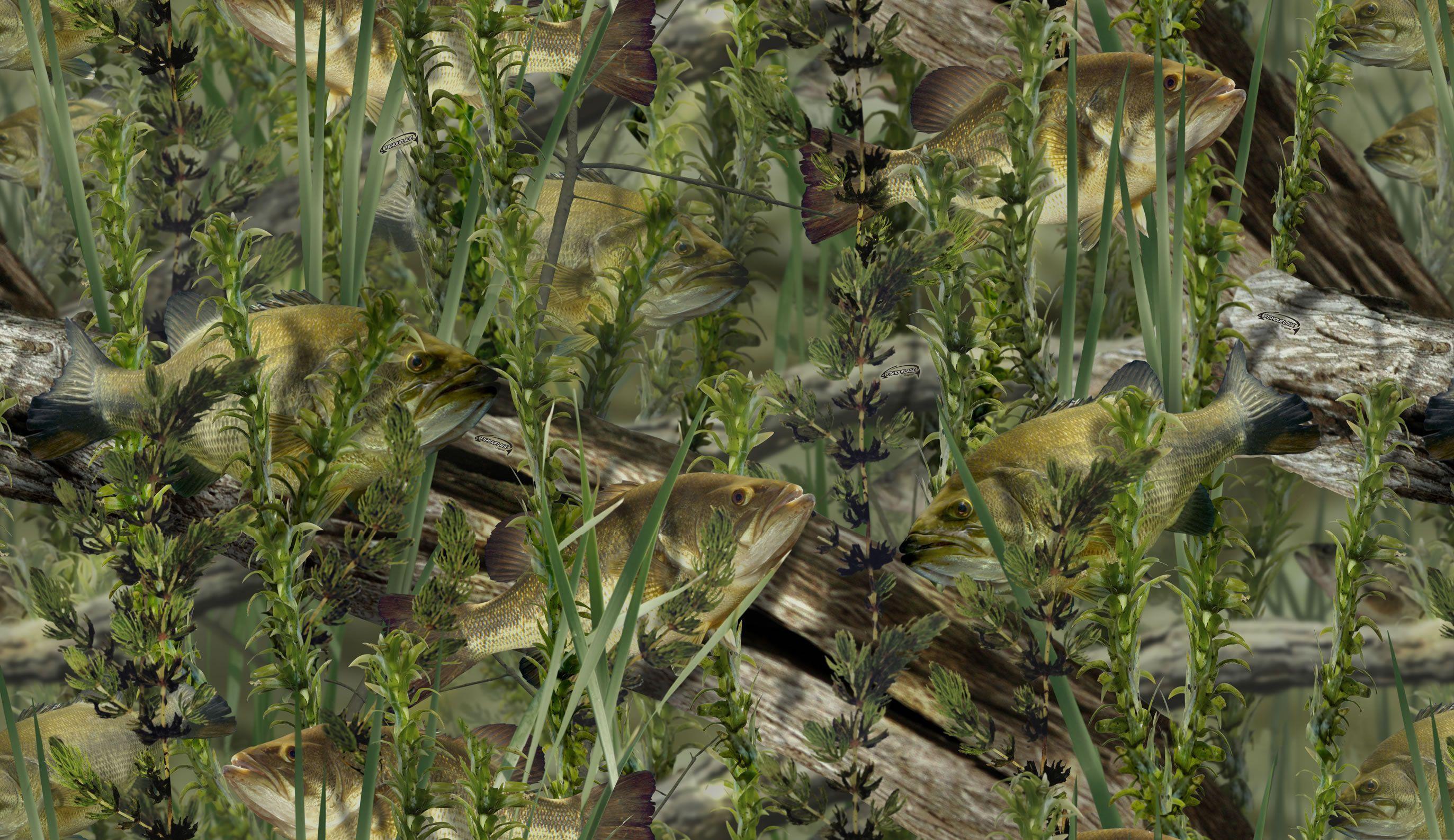 2746x1587 Walleye Background