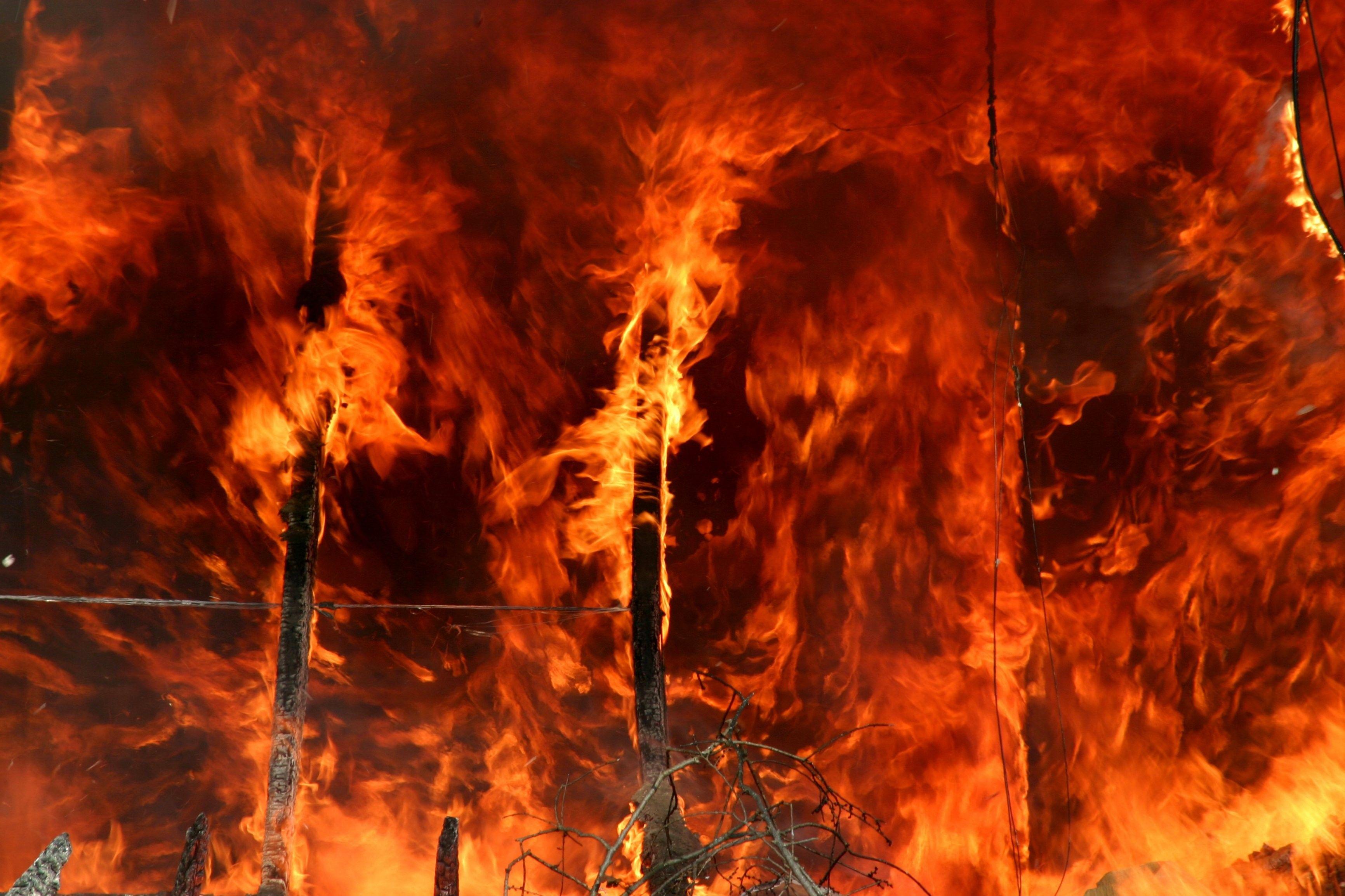 3464x2309 Anime Forest Fire
