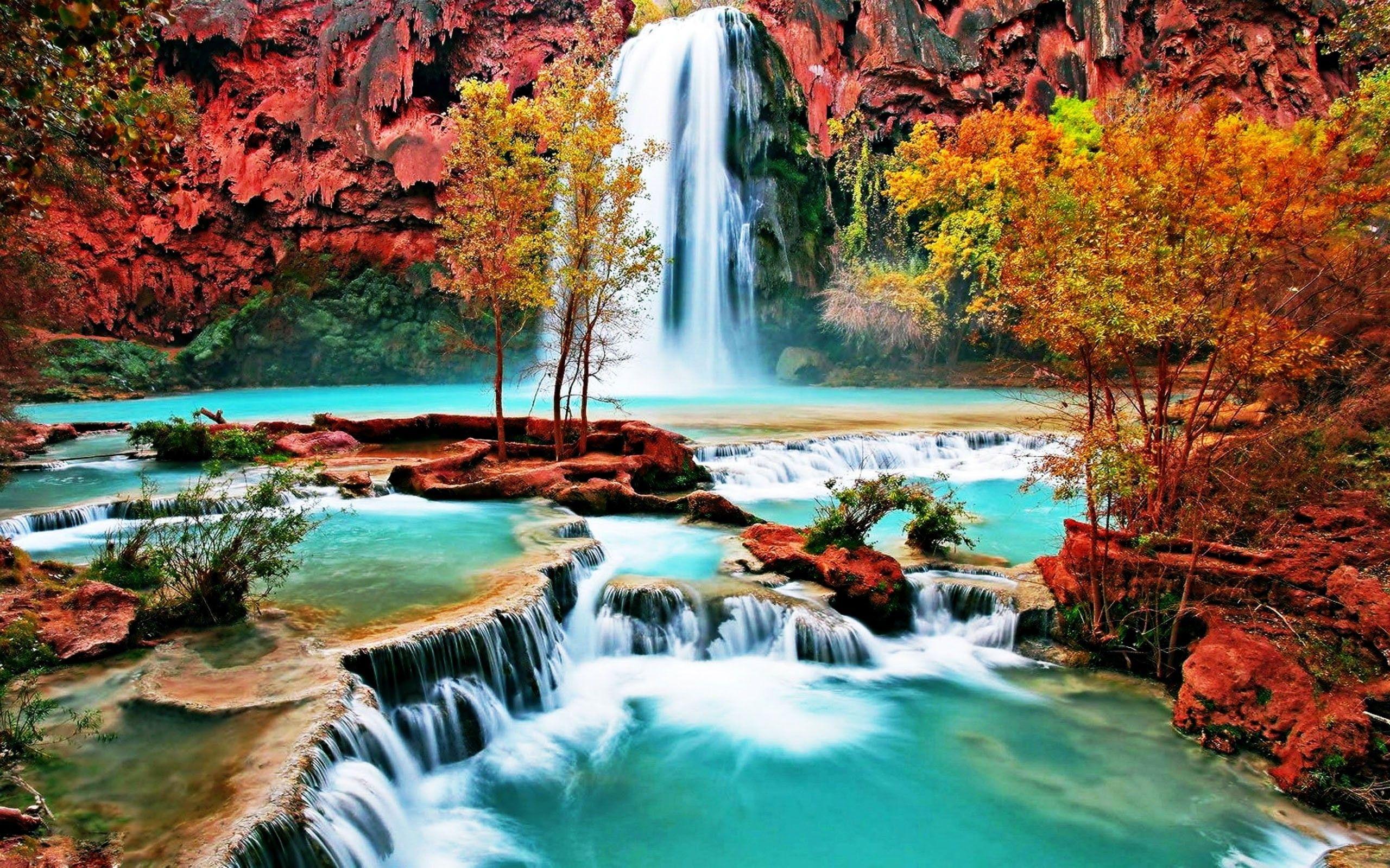 2560x1600 Nice Nature Wallpaper